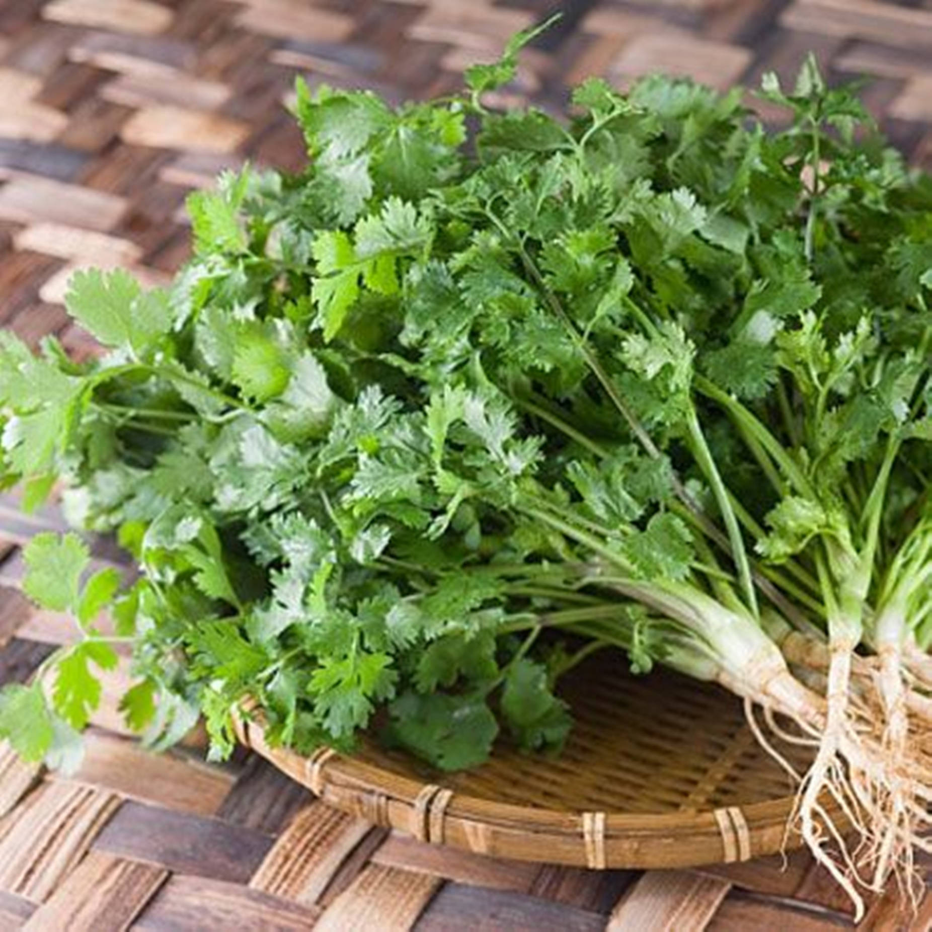 coriander herb, rice winnower, woven bamboo basket, HD Desktop Wallpaper