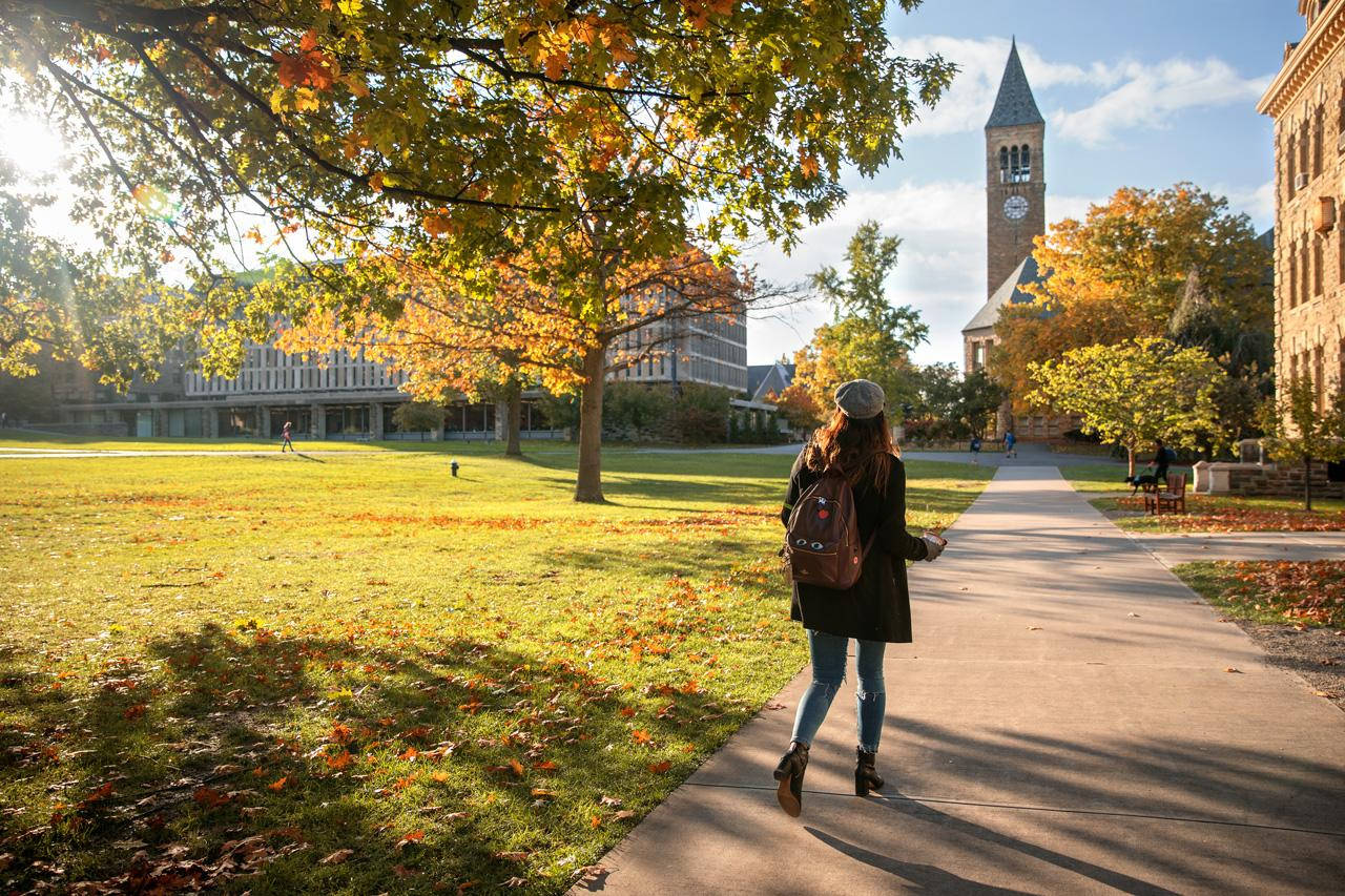 Cornell University, autumn trees, golden leaves, HD Desktop Wallpaper