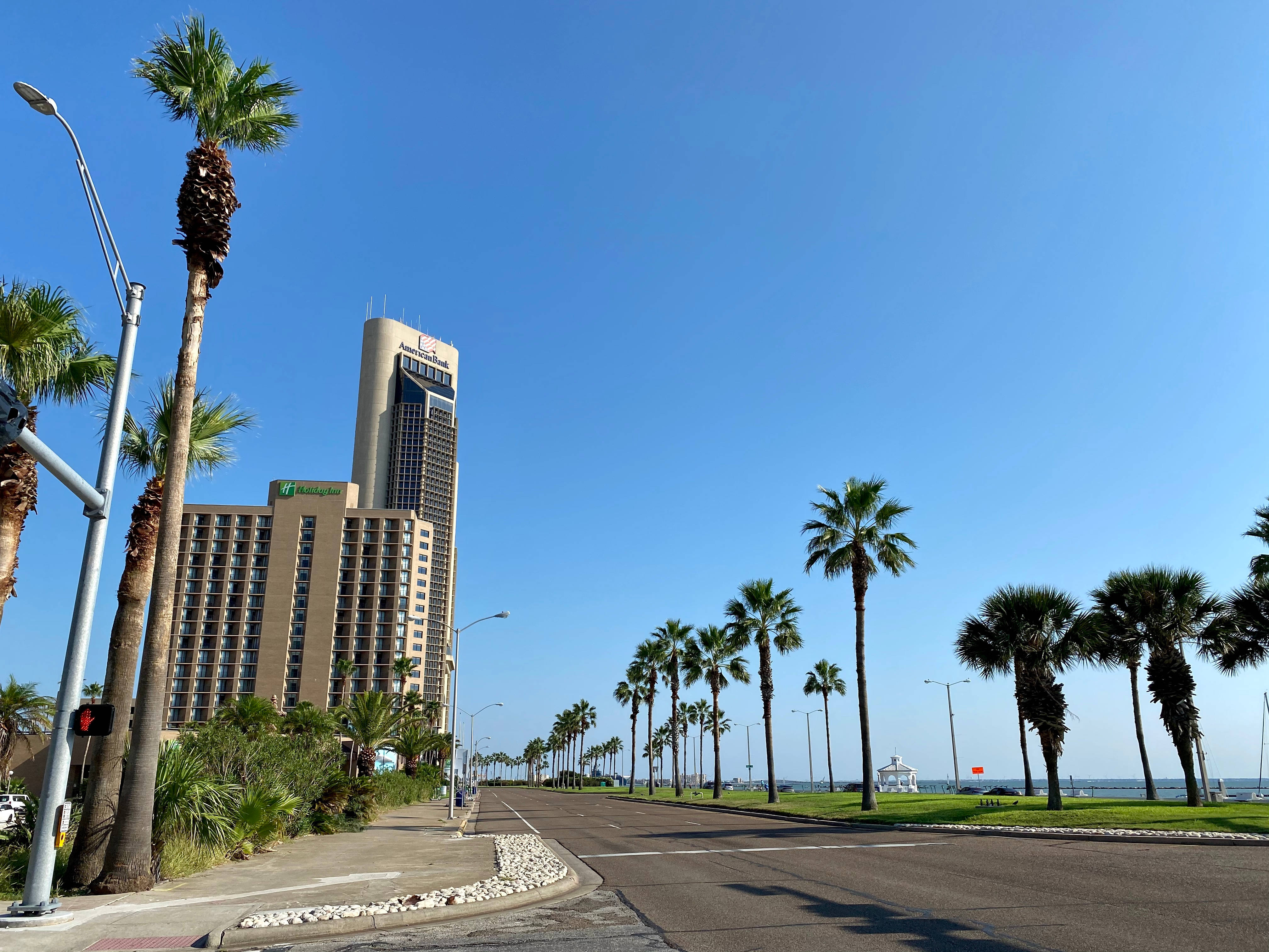 Corpus Christi, palm trees, avenue, 4K Desktop Wallpaper
