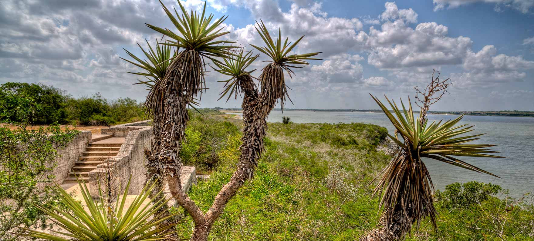 Corpus Christi, yucca plants, stone staircase, HD Desktop Wallpaper