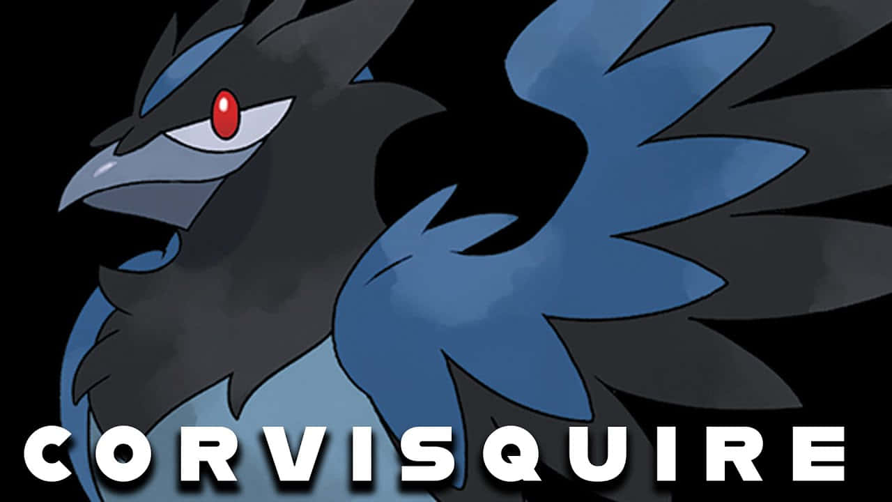 Corvisquire, blue, black, HD Desktop Wallpaper