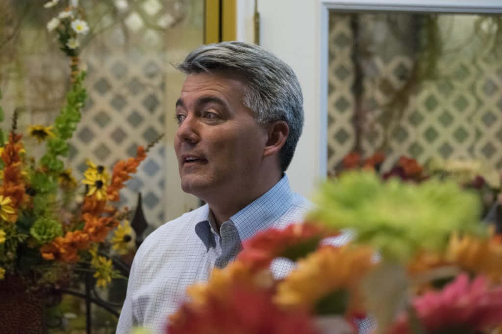 Cory Gardner, gray hair, checkered shirt, SD Desktop Wallpaper