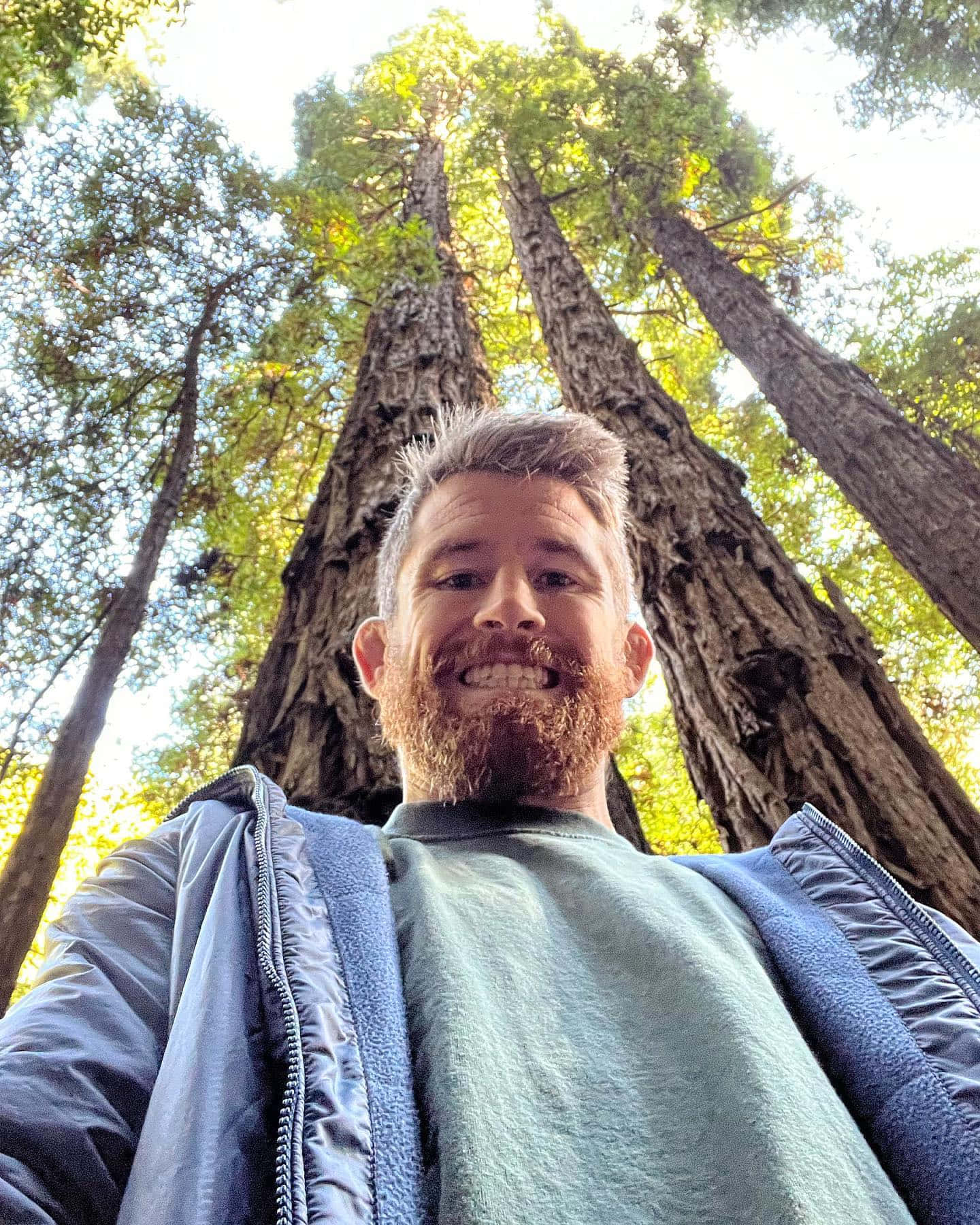 Cory Sandhagen, redwood trees, dappled sunlight, HD Phone Wallpaper