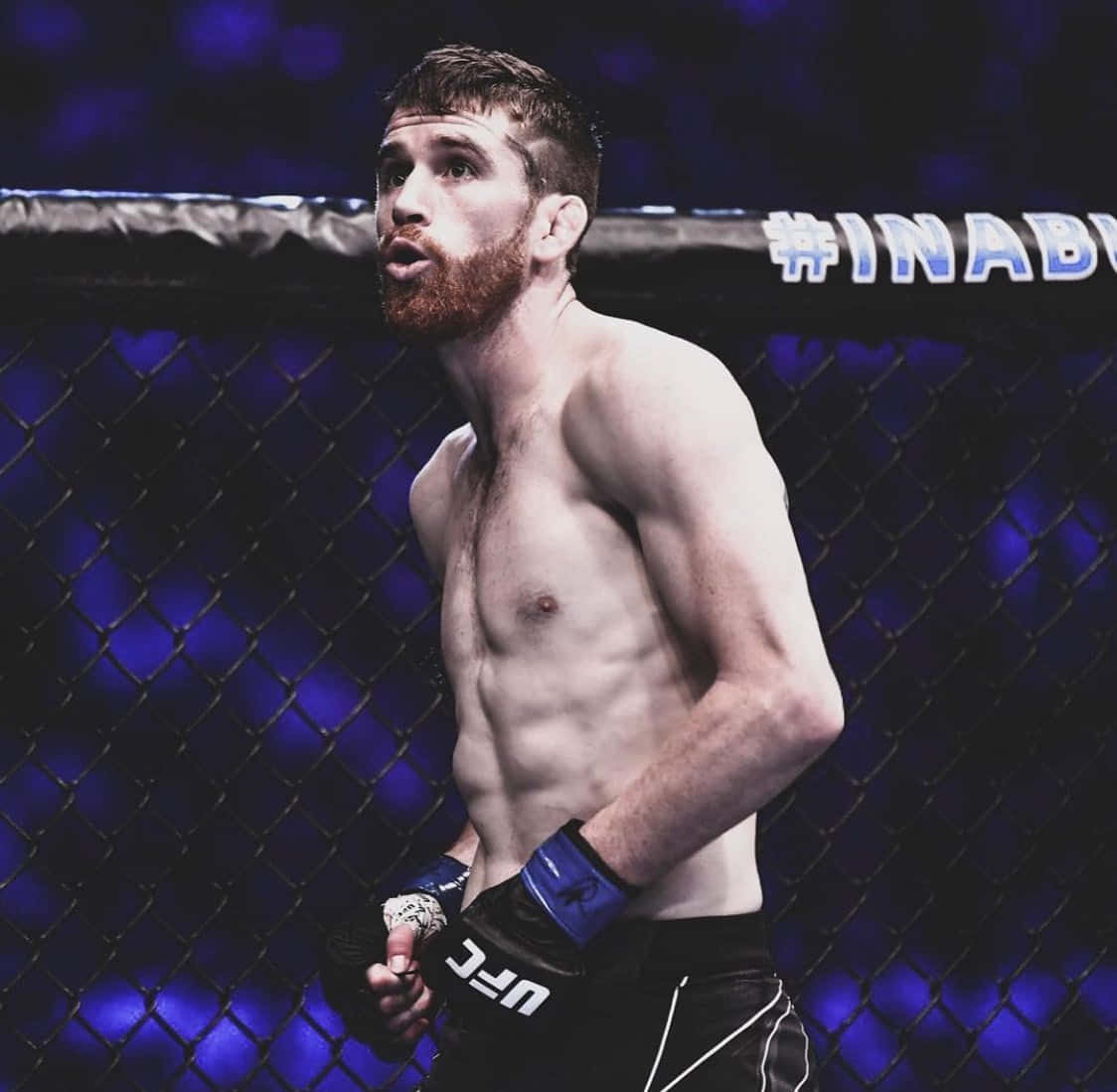 Cory Sandhagen, octagon, blue-lit octagon cage, SD Desktop Wallpaper