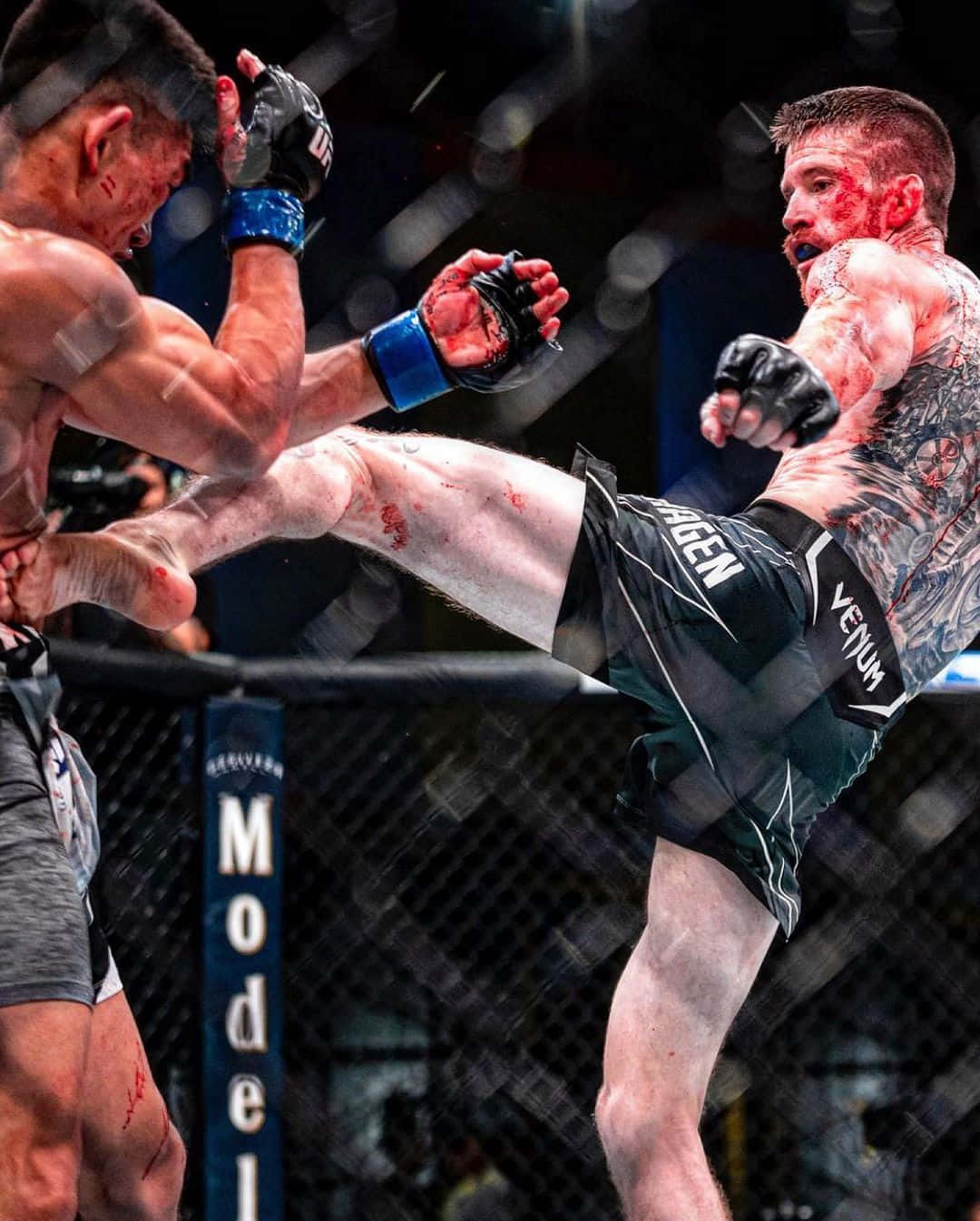Cory Sandhagen, roundhouse kick, MMA fighter, HD Phone Wallpaper