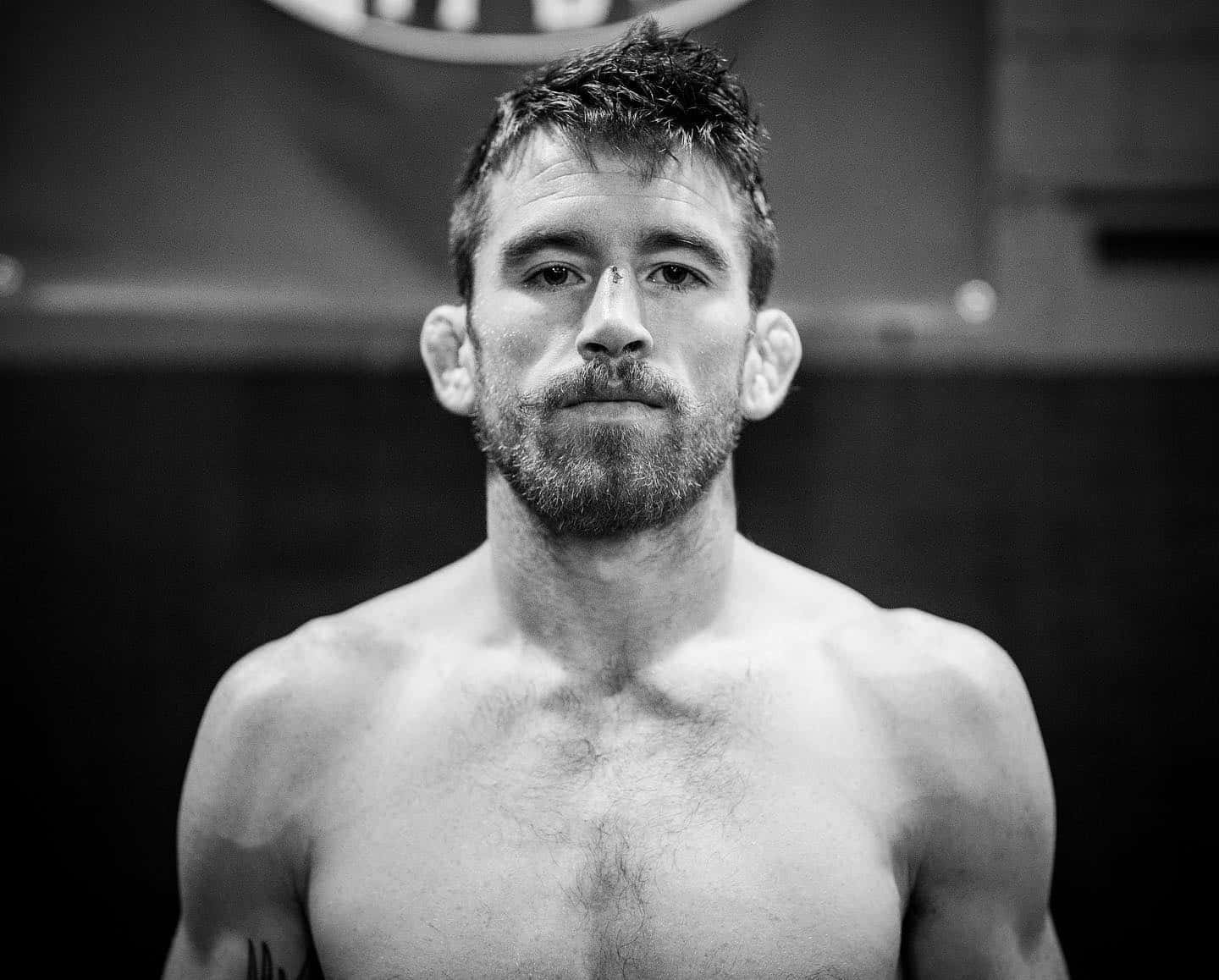 Cory Sandhagen, grayscale portrait, muscular man, HD Desktop Wallpaper