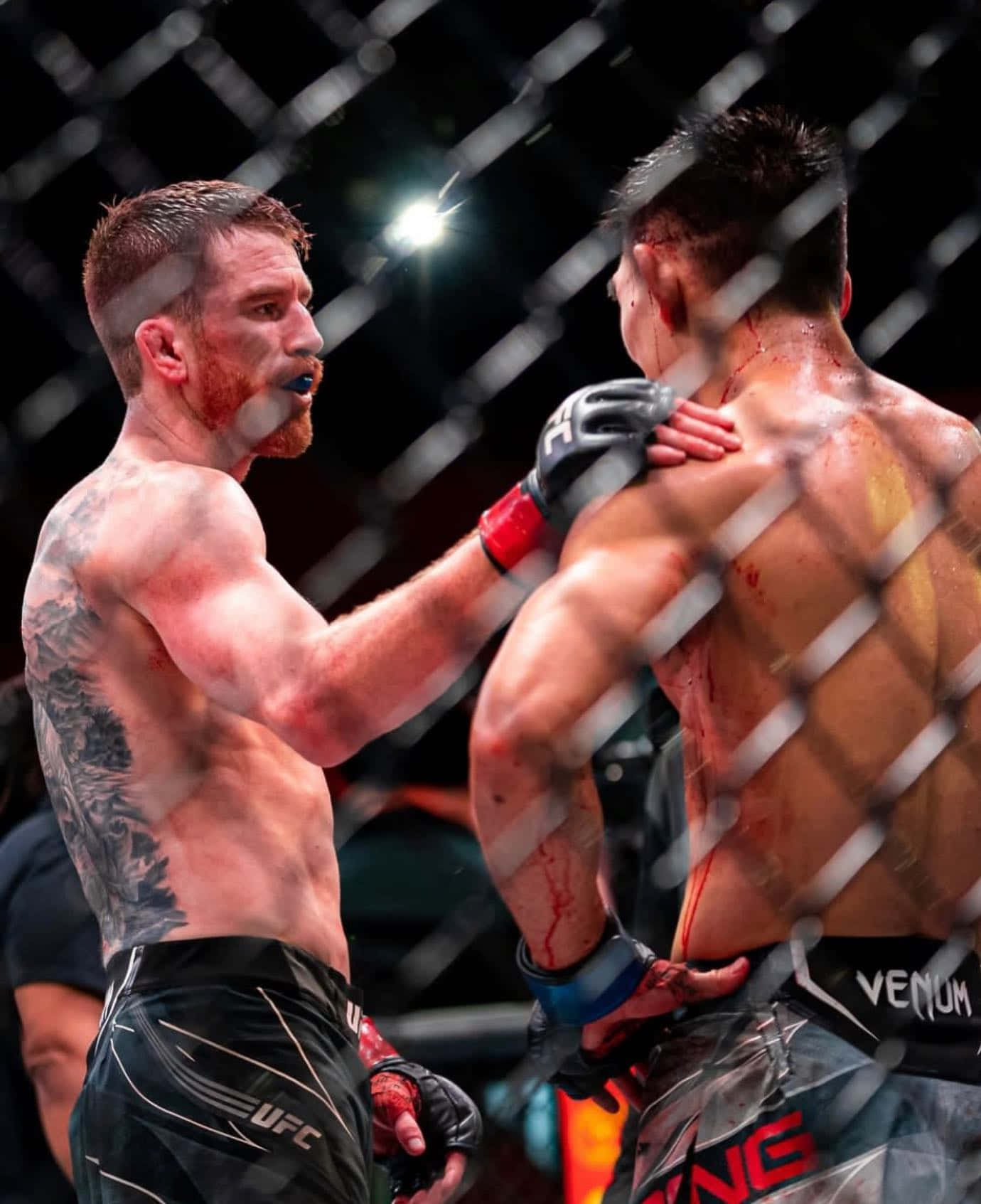 Cory Sandhagen, octagon cage, bright arena lights, HD Phone Wallpaper