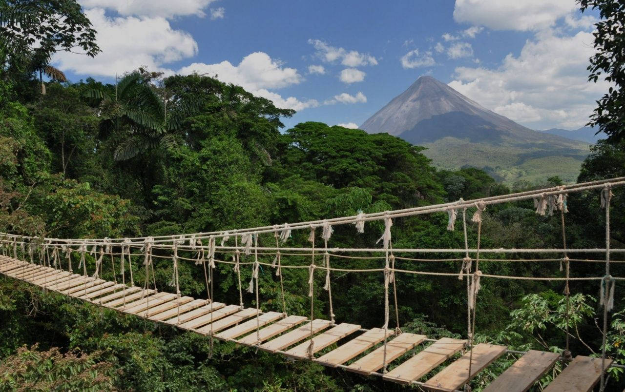 Costa Rica, rope bridge, lush green jungle, HD Desktop Wallpaper