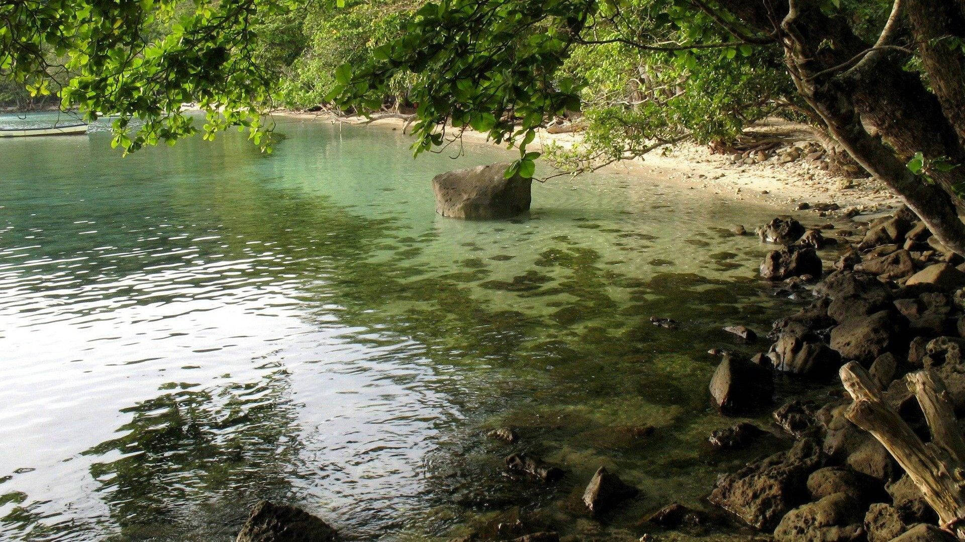Costa Rica, mangrove forest, tropical cove, Full HD Desktop Wallpaper