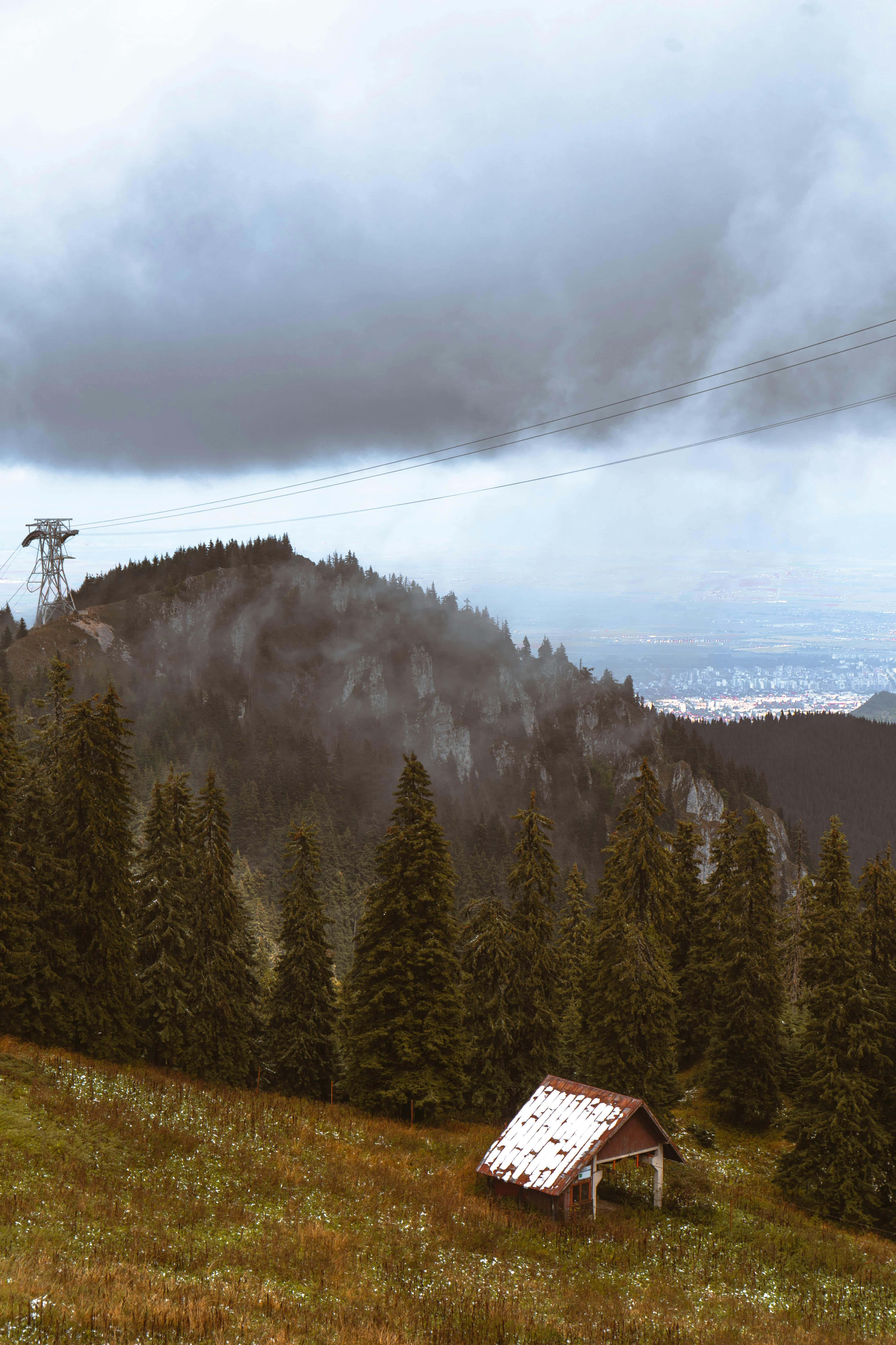 Misty Mountain Cottage, weathered wooden shed, rusted roof, 5K Phone Wallpaper