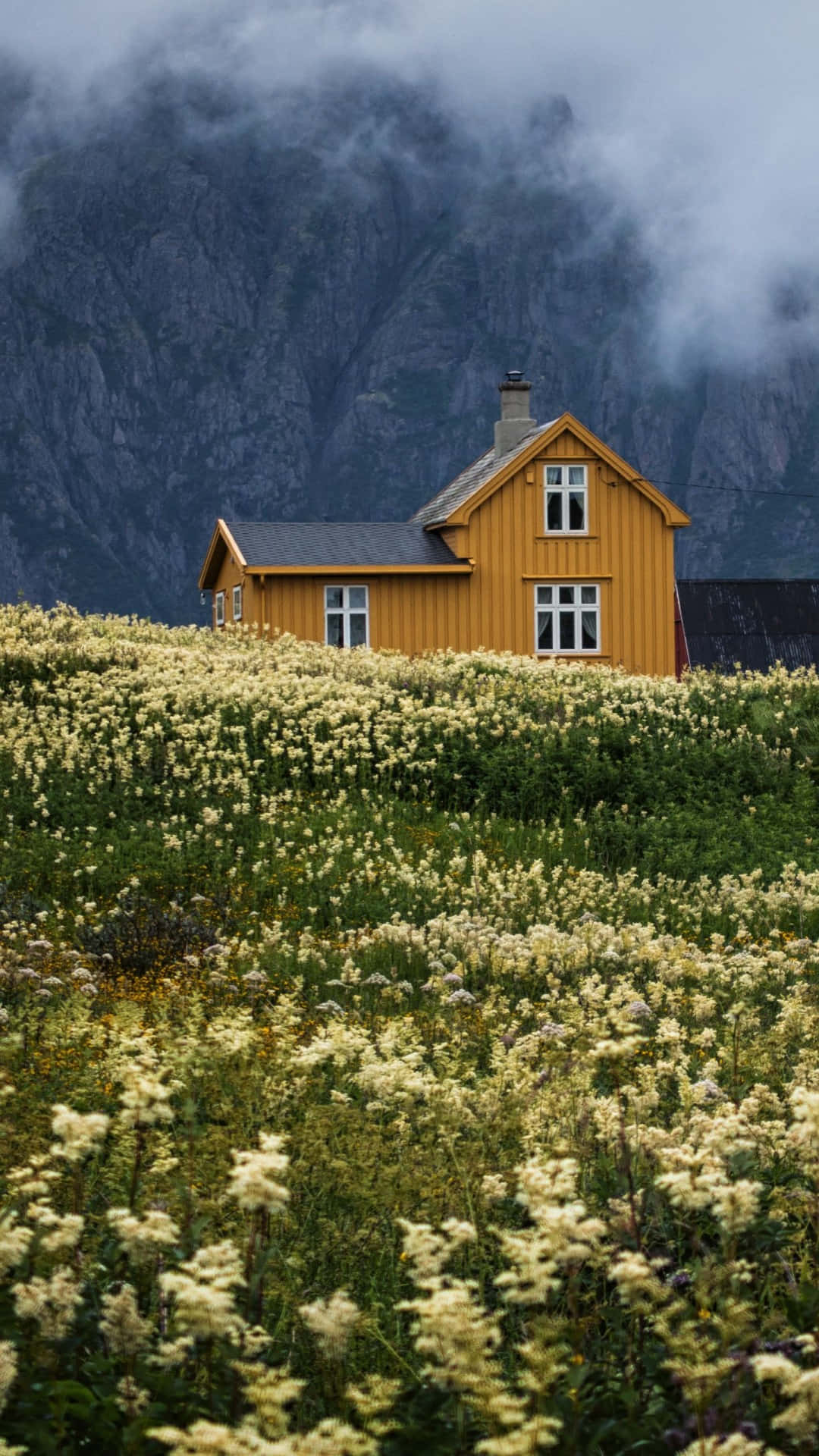 cottagein mountain meadow, bright yellow wooden house, hill, Full HD Phone Wallpaper