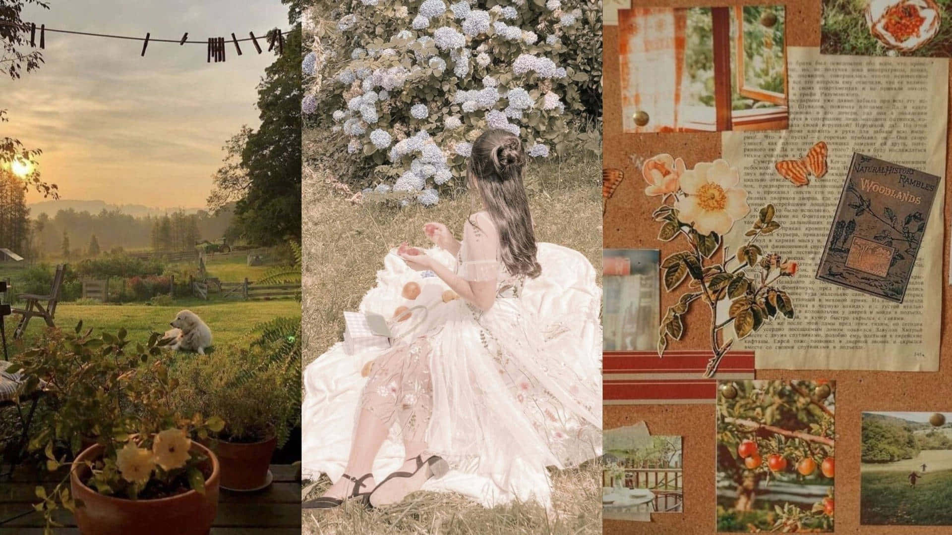 cottage core collage aesthetic, sunlit garden, cat, Full HD Desktop Wallpaper