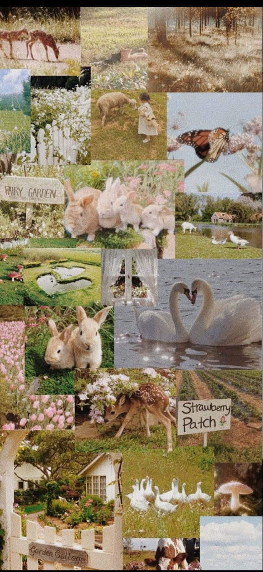 Cottage Core, collage, pastoral scenes, HD Phone Wallpaper