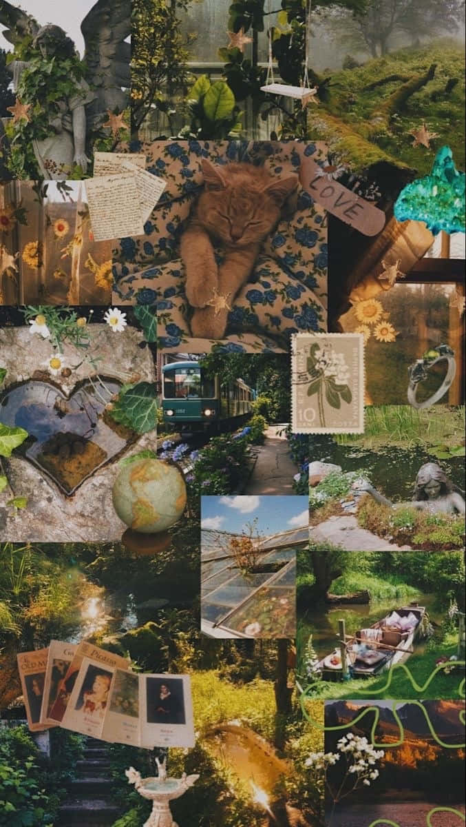 Cottage Core Collage, moodboard, nature scenes, SD Phone Wallpaper