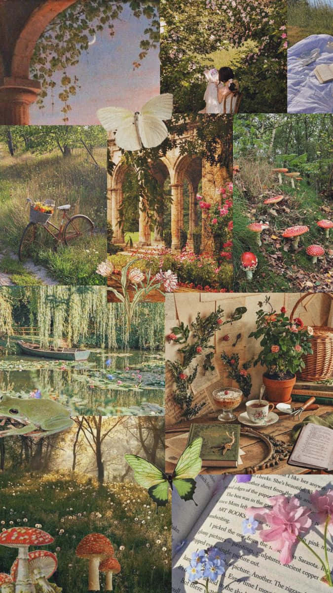 Cottage Core Collage, vintage garden scenes, butterflies, SD Phone Wallpaper