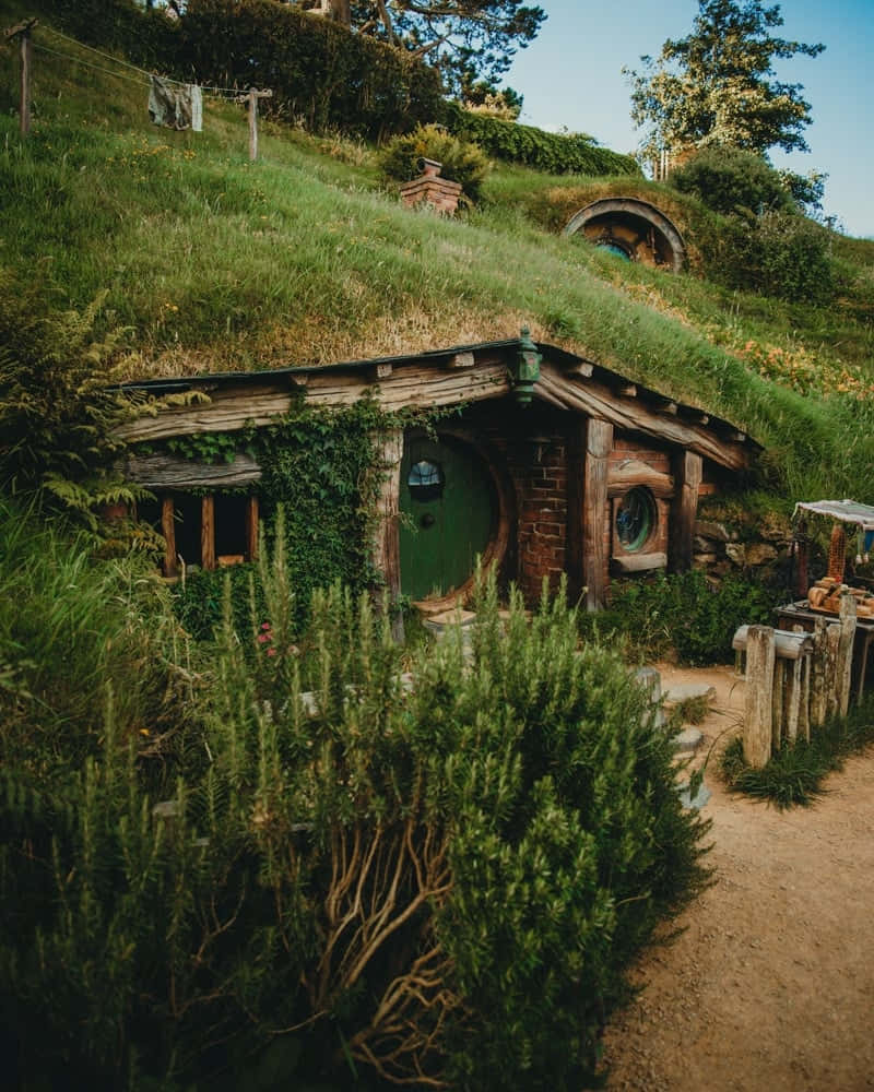 hobbit style cottage, grass roof, round green door, SD Phone Wallpaper