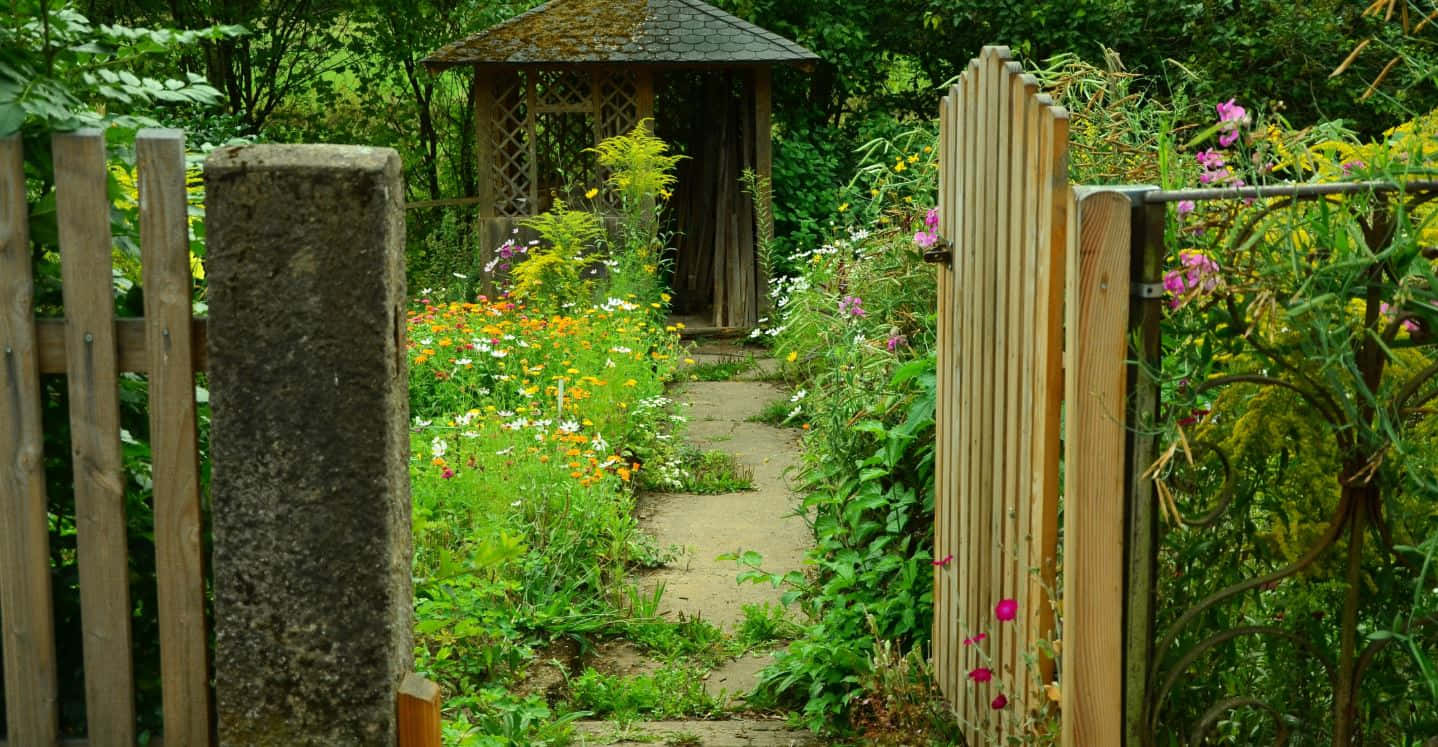 cottage garden, stone gate, wildflower garden path, HD Desktop Wallpaper