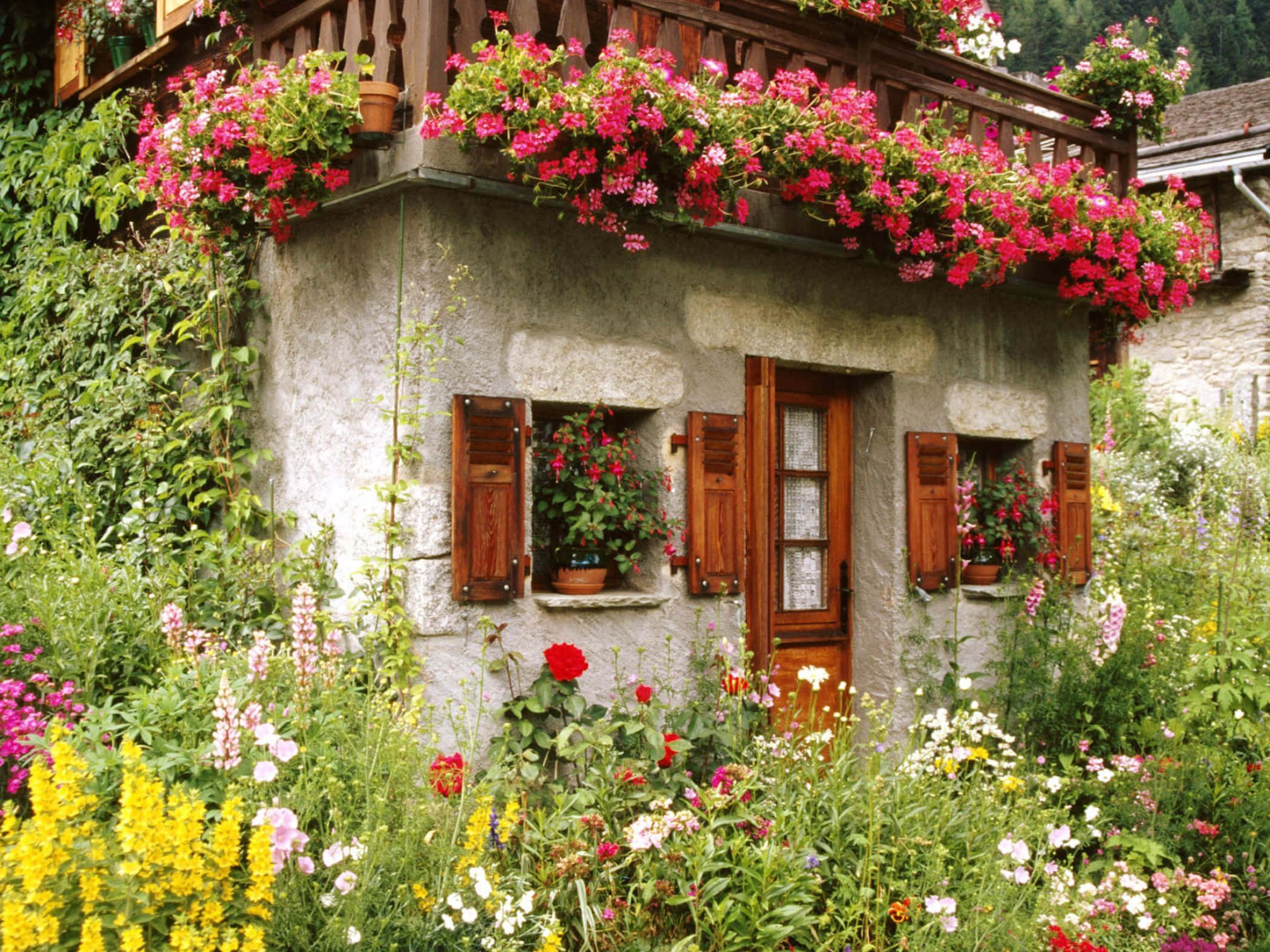 cottage garden, rustic stone cottage, vibrant pink flowers, Full HD Desktop Wallpaper