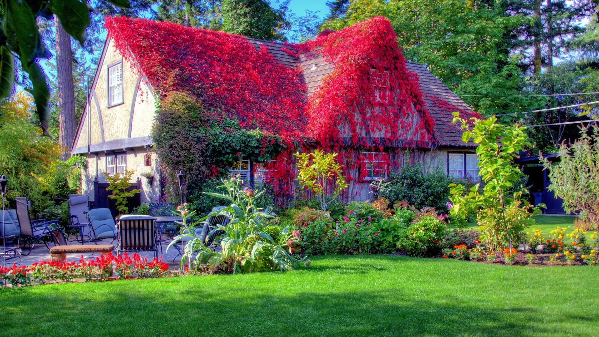 autumnal cottage garden beauty, cottage, vibrant red ivy, Full HD Desktop Wallpaper