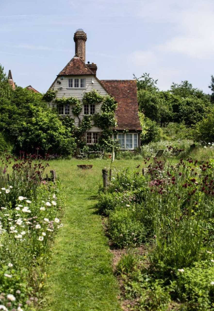 cottagecore, countryside house, ivy-covered cottage, HD Phone Wallpaper