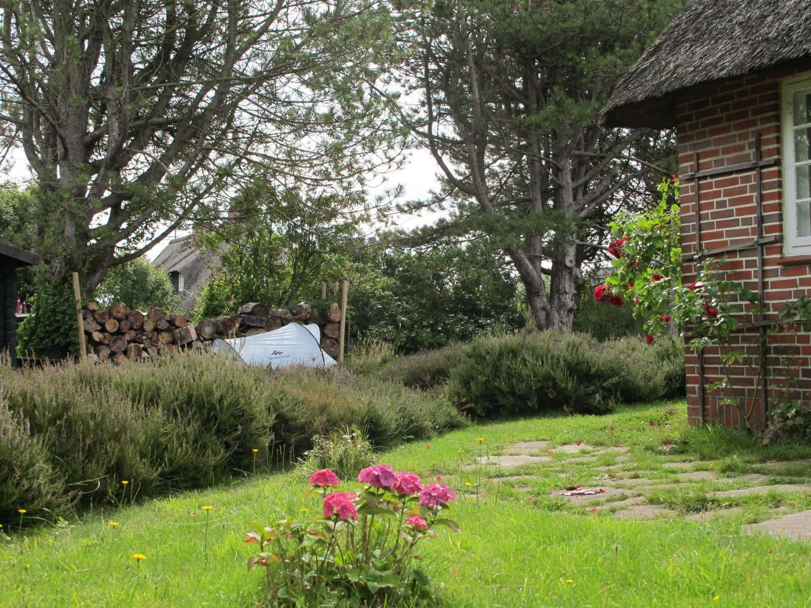 rustic brick house, thatched roof, green garden, HD Desktop Wallpaper