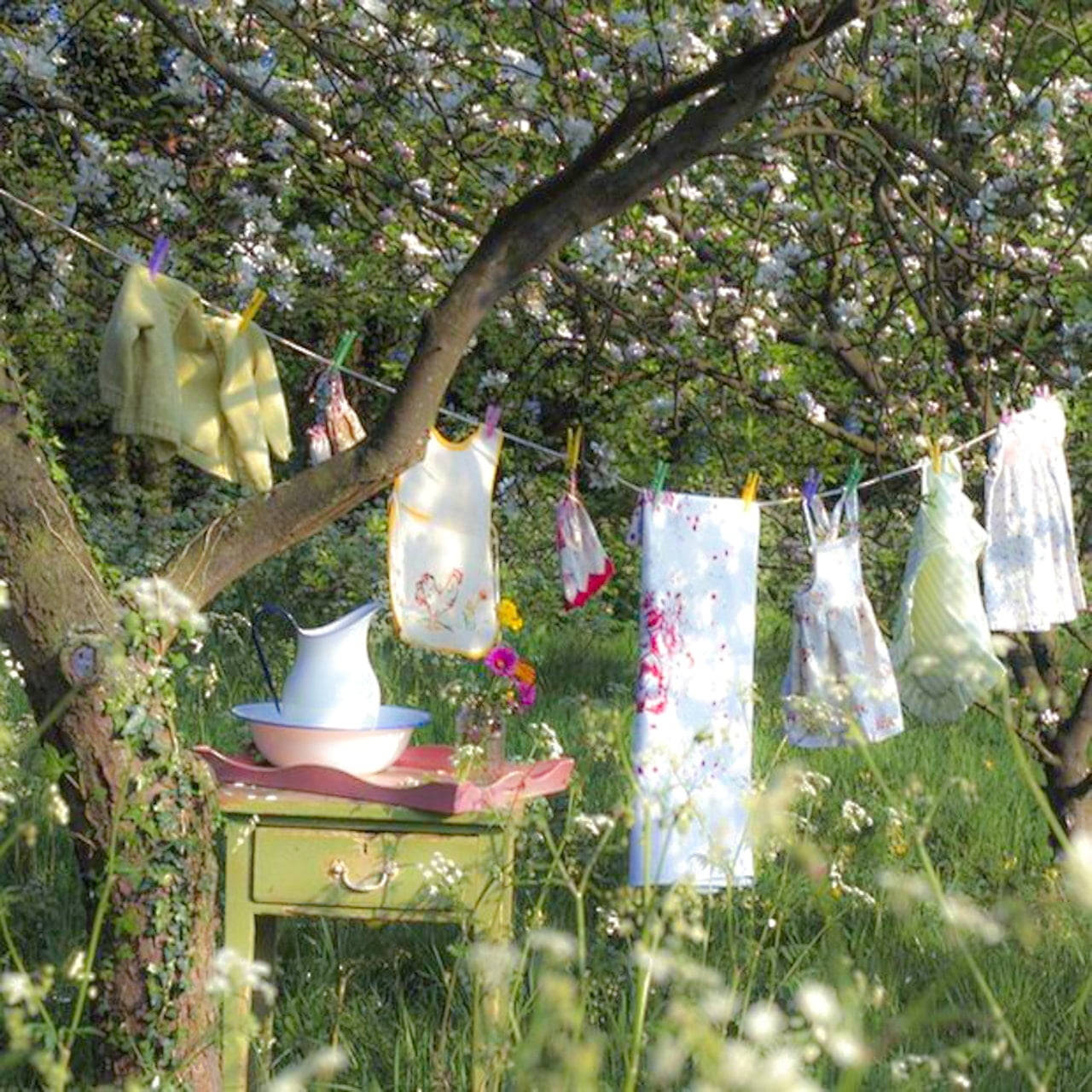 countryside clothesline, blossoming tree, vintage table, HD Desktop Wallpaper
