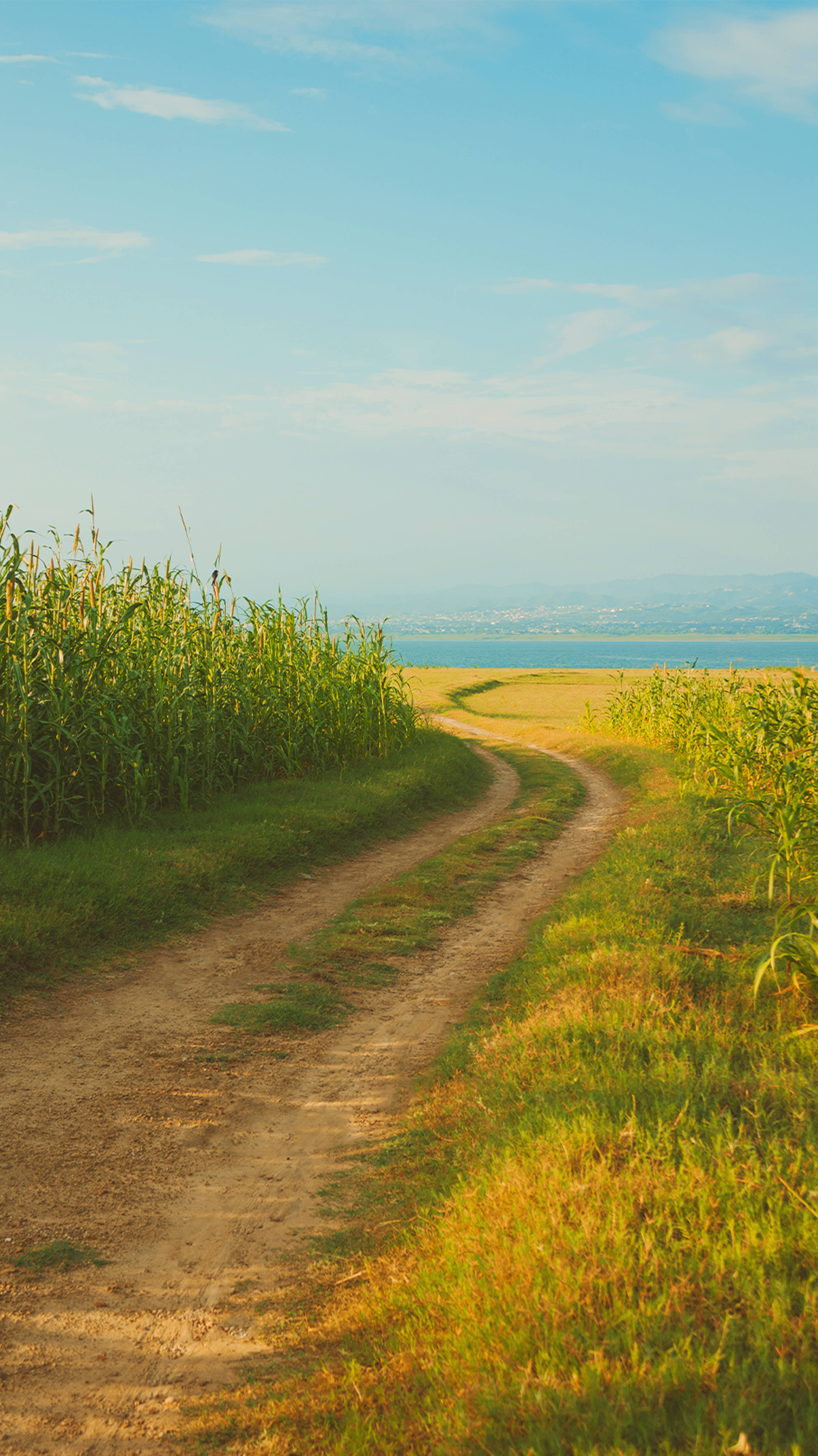 Cottagecore Aesthetic, meadow trail, dirt path, 4K Phone Wallpaper
