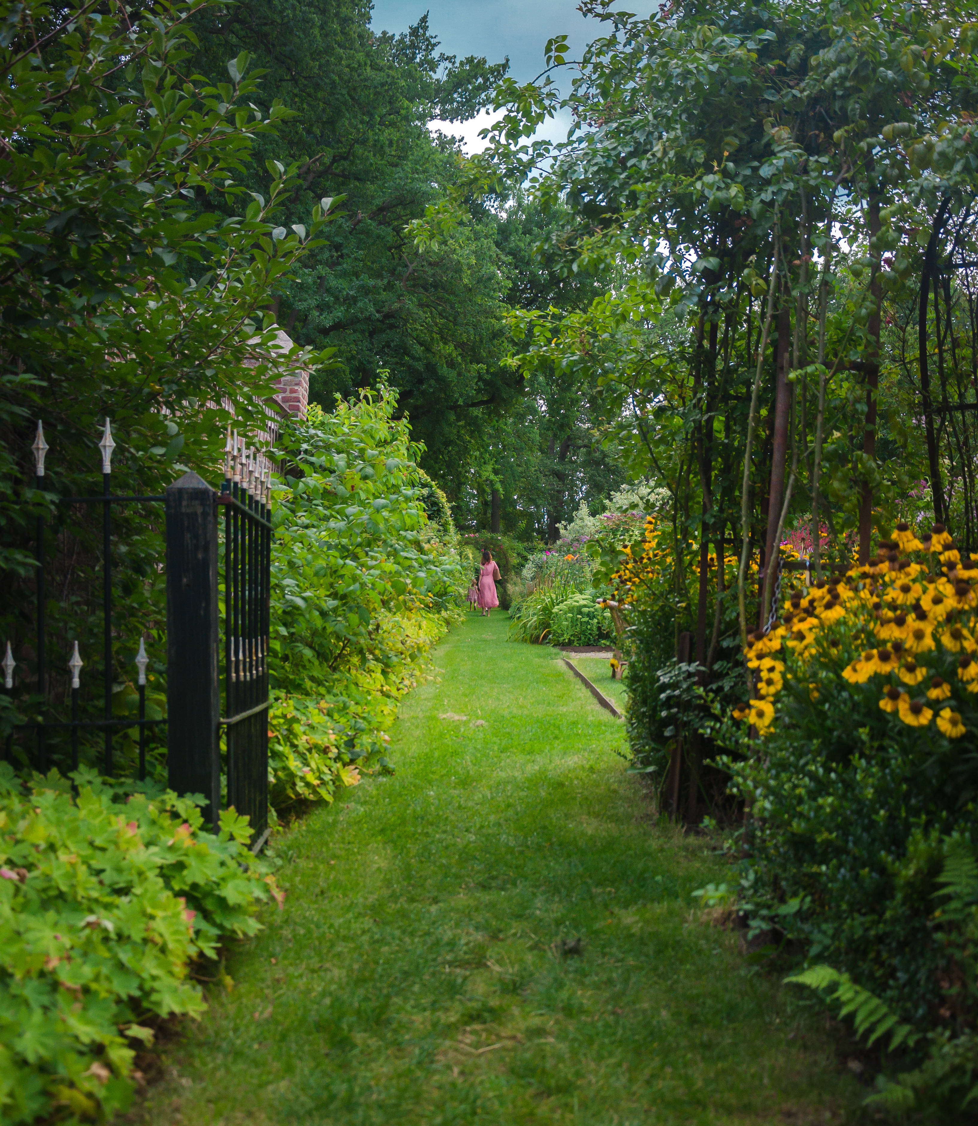 pink dress, grassy garden path, lush greenery, 2K Phone Wallpaper
