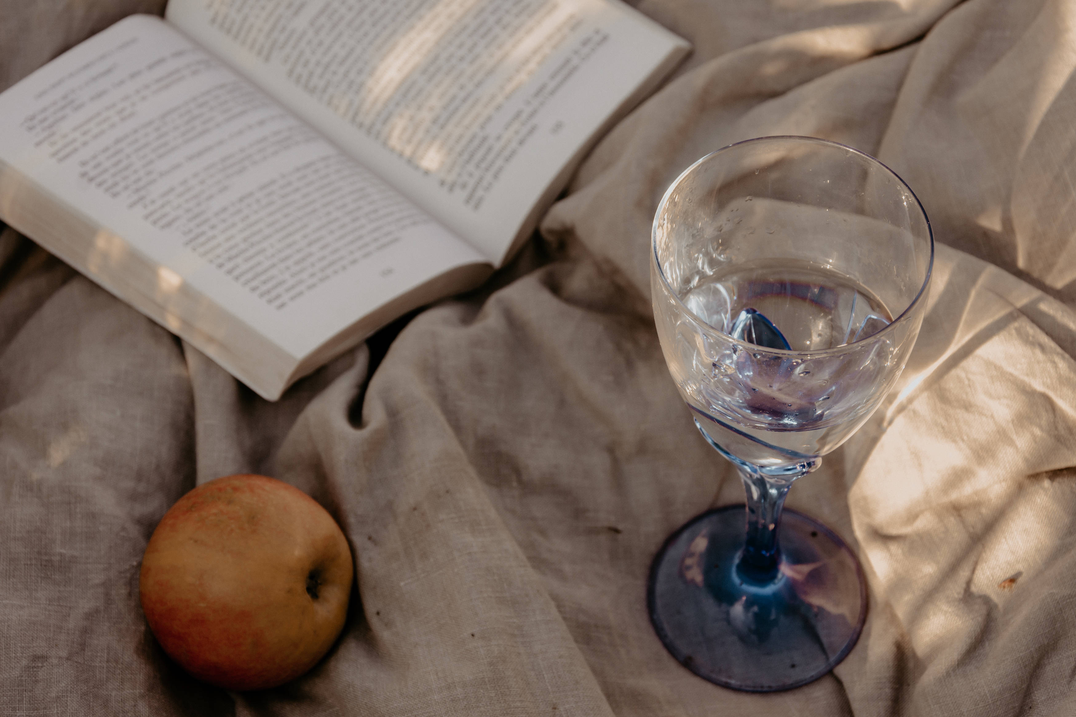 Cottagecore Aesthetic, sunlit, still life, 2K Desktop Wallpaper