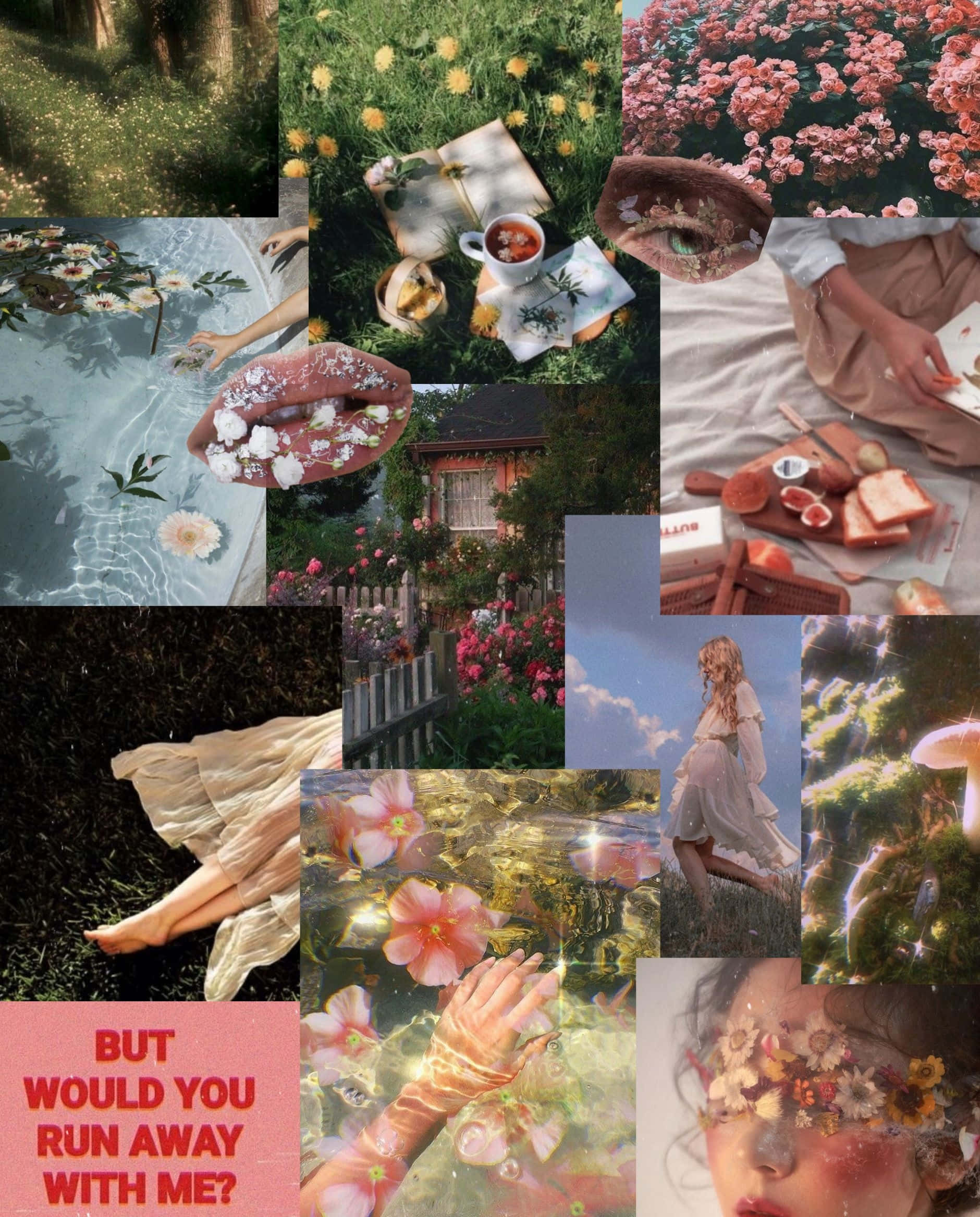 cottagecore aesthetic, floral nature scenes, tea moments, Full HD Phone Wallpaper