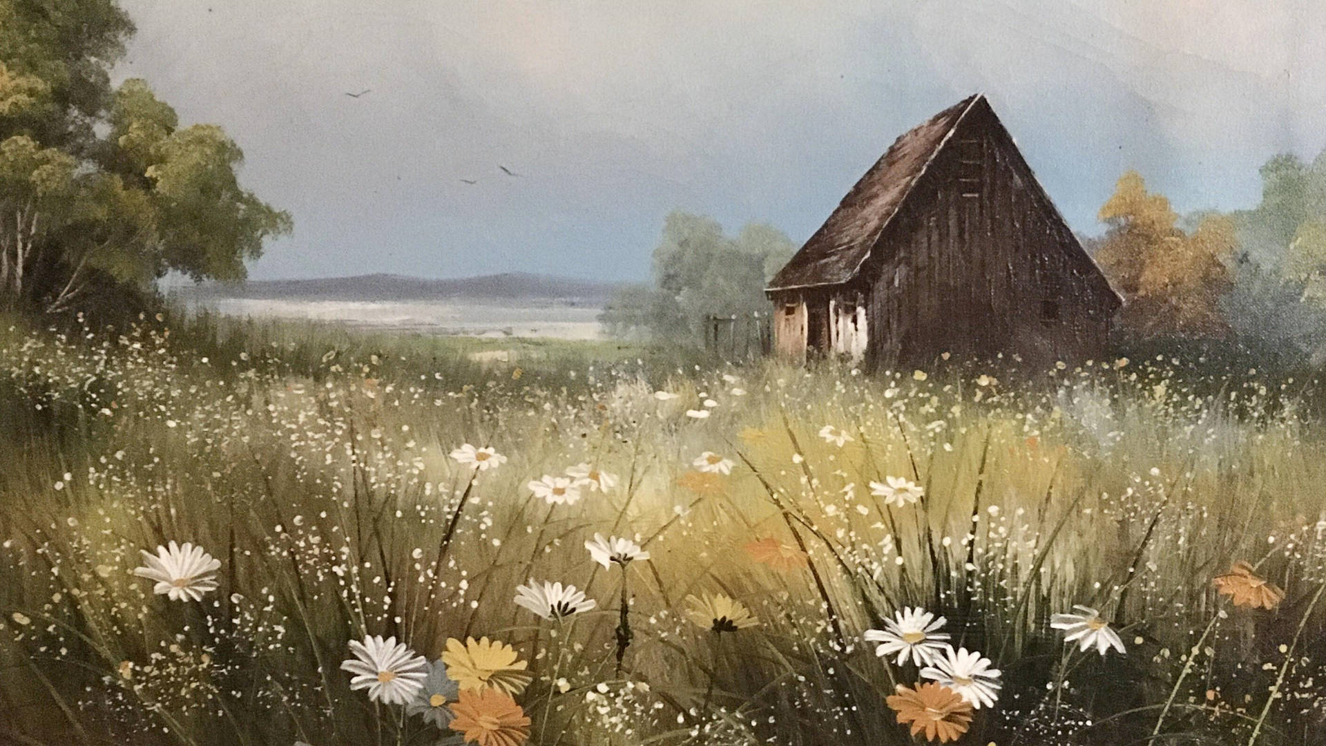cottage, meadow, white daisies, Full HD Desktop Wallpaper