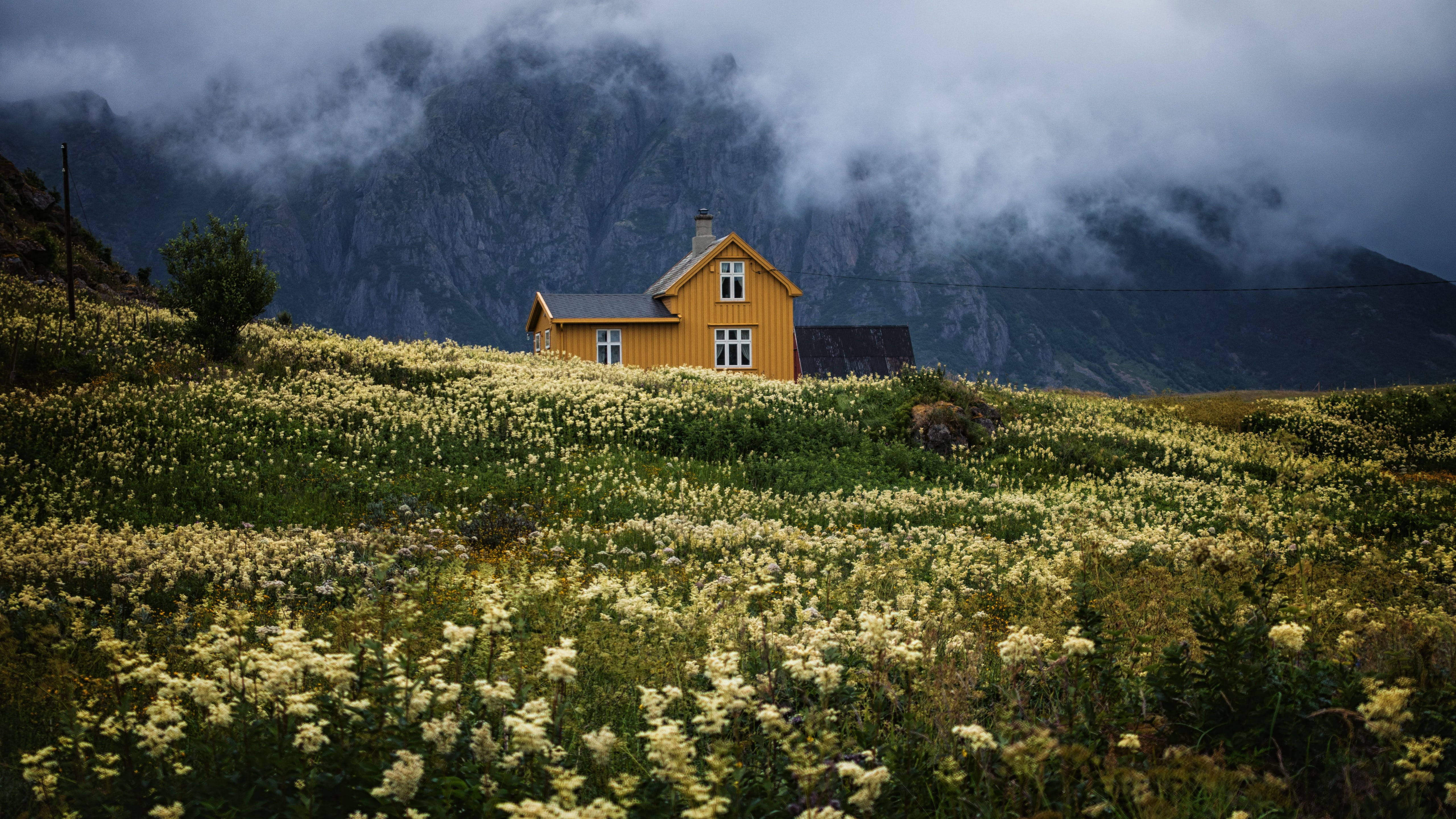 yellow house, mountain, field of white flowers, 5K Desktop Wallpaper