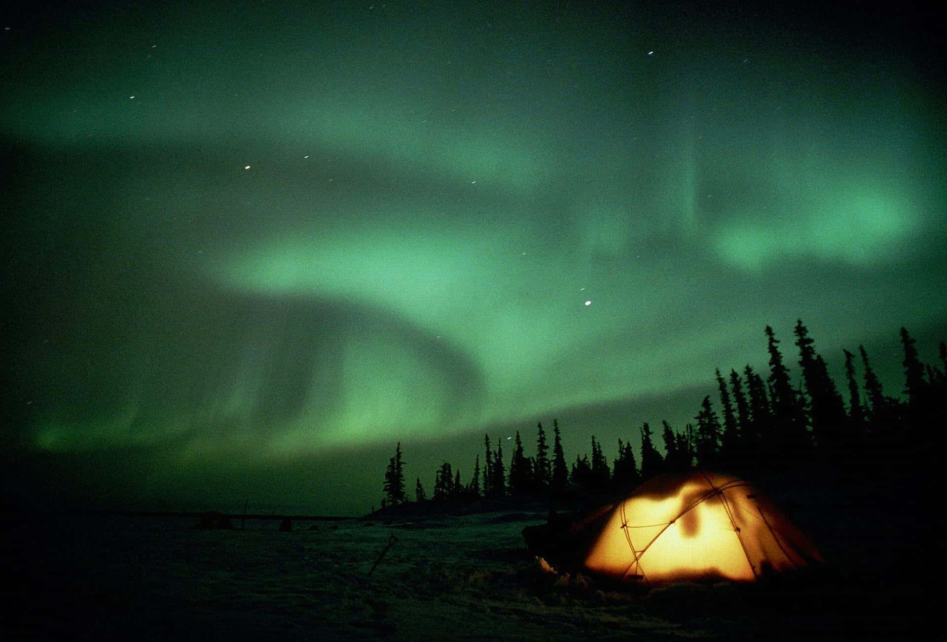 Northern Lights Camping Desktop, aurora borealis, snowy wilderness, Full HD Desktop Wallpaper