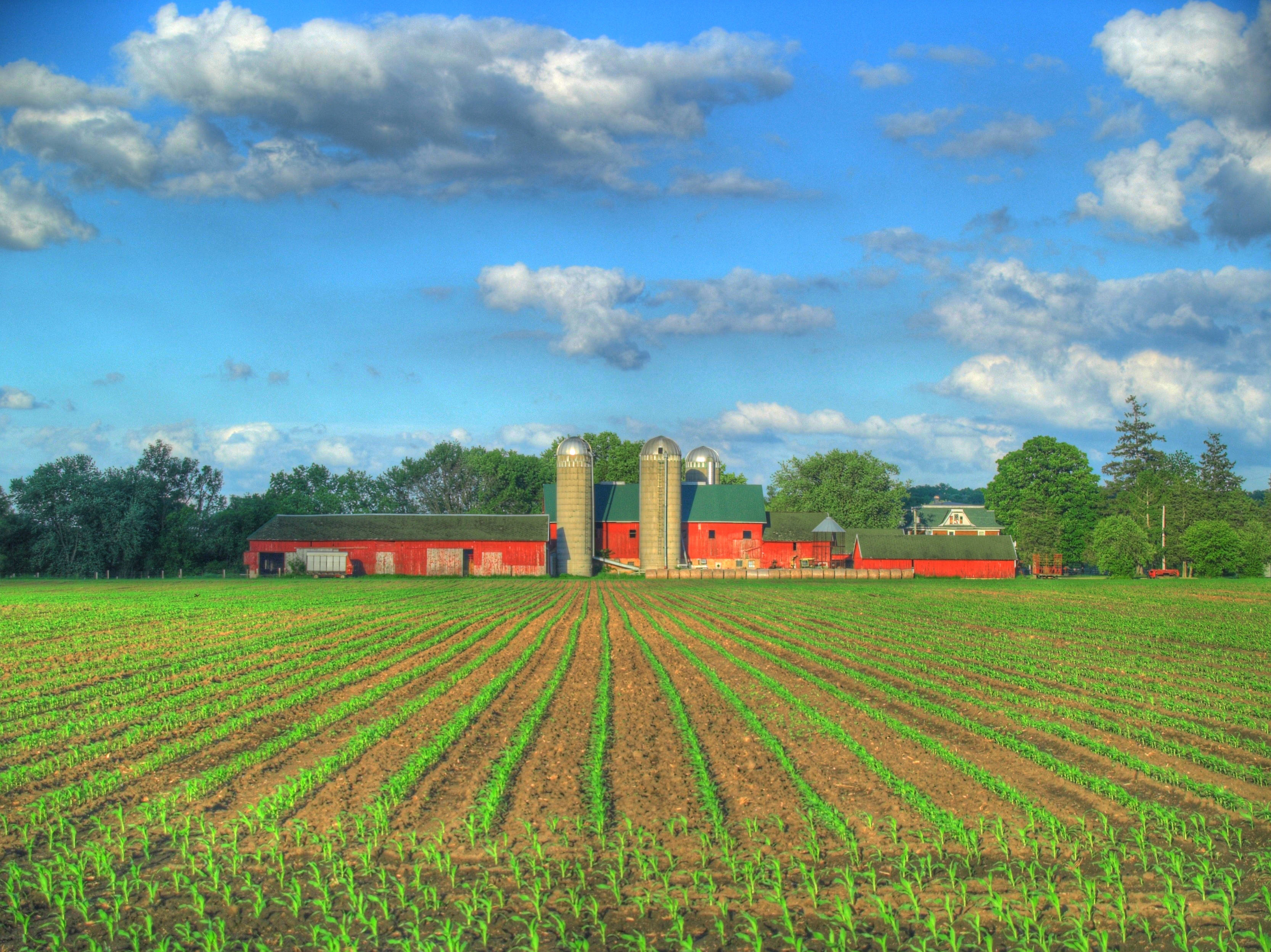 corn, red barn, silos, 2K Desktop Wallpaper