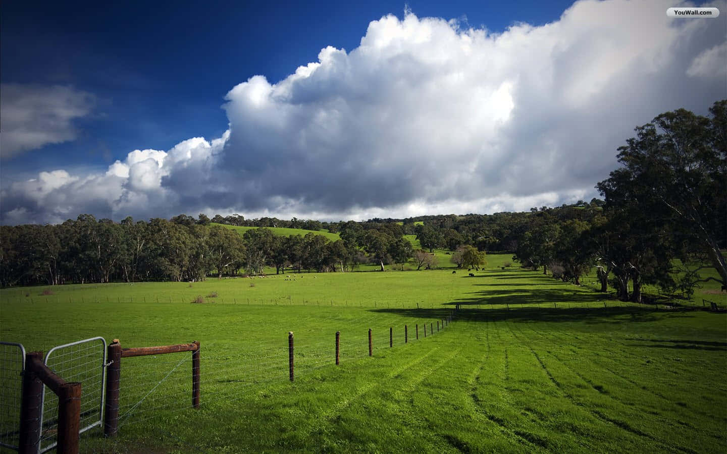 farmhouse desktop, Homey and Rustic Farmhouse Desktop, vast green pasture, HD Desktop Wallpaper