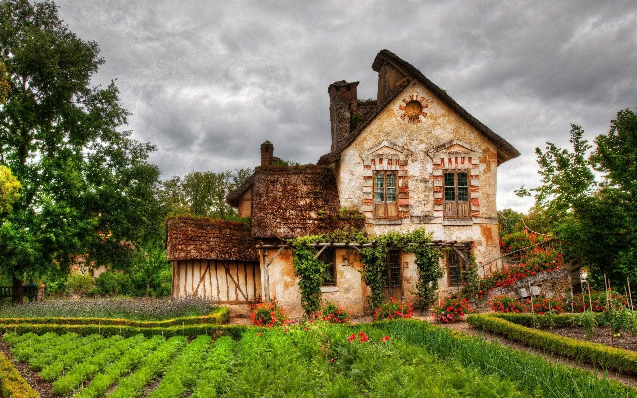 cottagecore, French farmhouse, ivy-covered walls, 2K Desktop Wallpaper