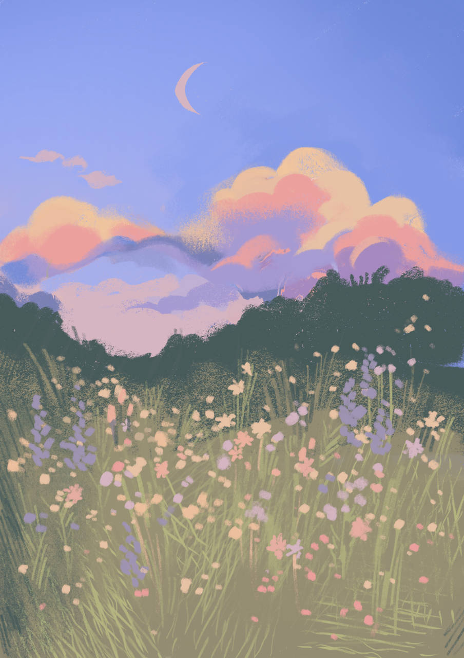 cottagecore, wildflowers, twilight sky, HD Phone Wallpaper