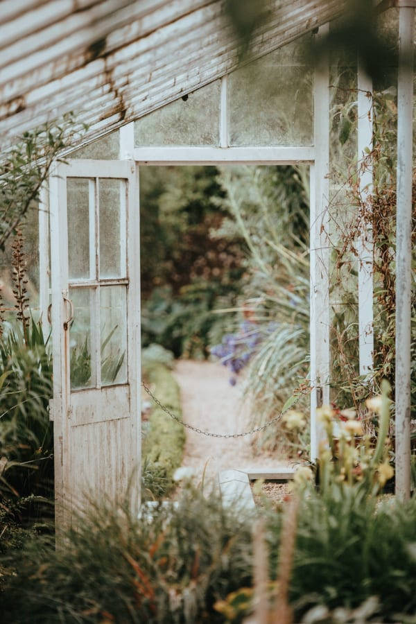 cottagecore conservatory greenhouse, weathered white greenhouse door, sunlit garden path, SD Phone Wallpaper
