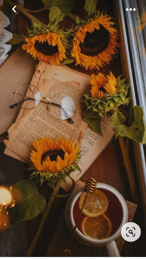 Sunflower, glasses, book, SD Phone Wallpaper