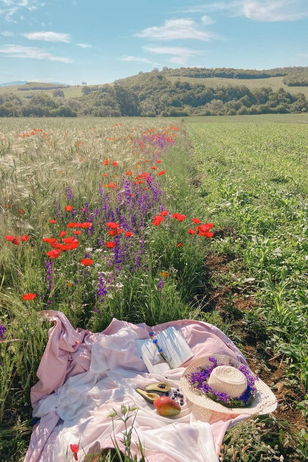 cottagecore, green meadows, pink blanket, SD Phone Wallpaper