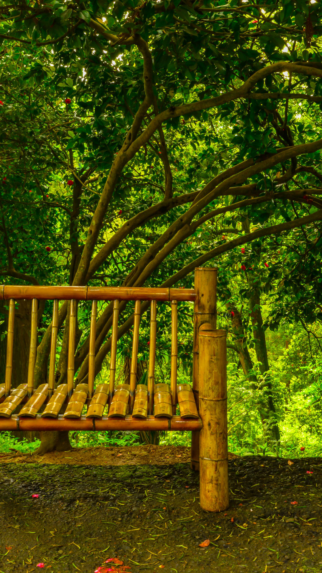 cottagecore, bamboo bench, lush green leaves, Full HD Phone Wallpaper