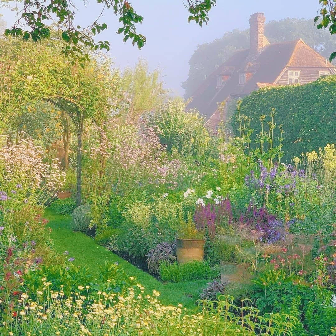 green flower garden, cozy cottage, misty garden path, SD Desktop Wallpaper