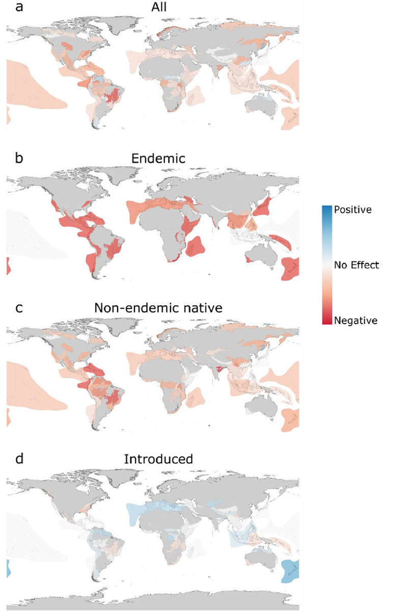 Global Endemic Species Distribution Map, Four world maps, color-coded impact zones, SD Phone Wallpaper