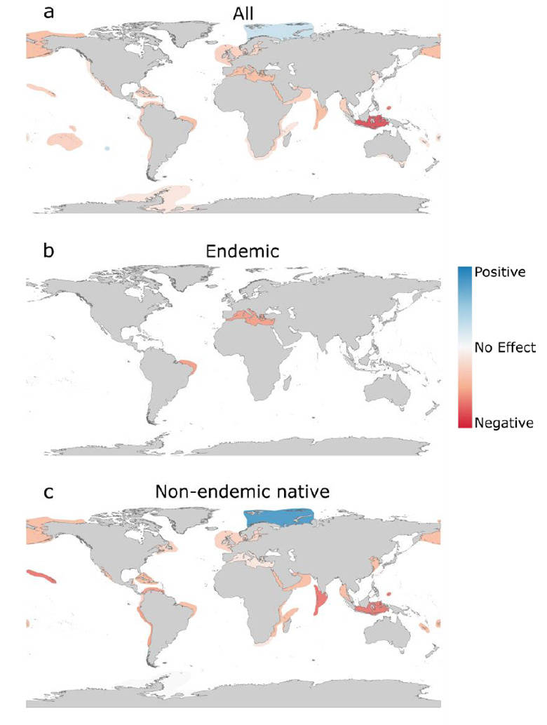 Global Endemic Infographic, world maps, geographic distributions, SD Phone Wallpaper