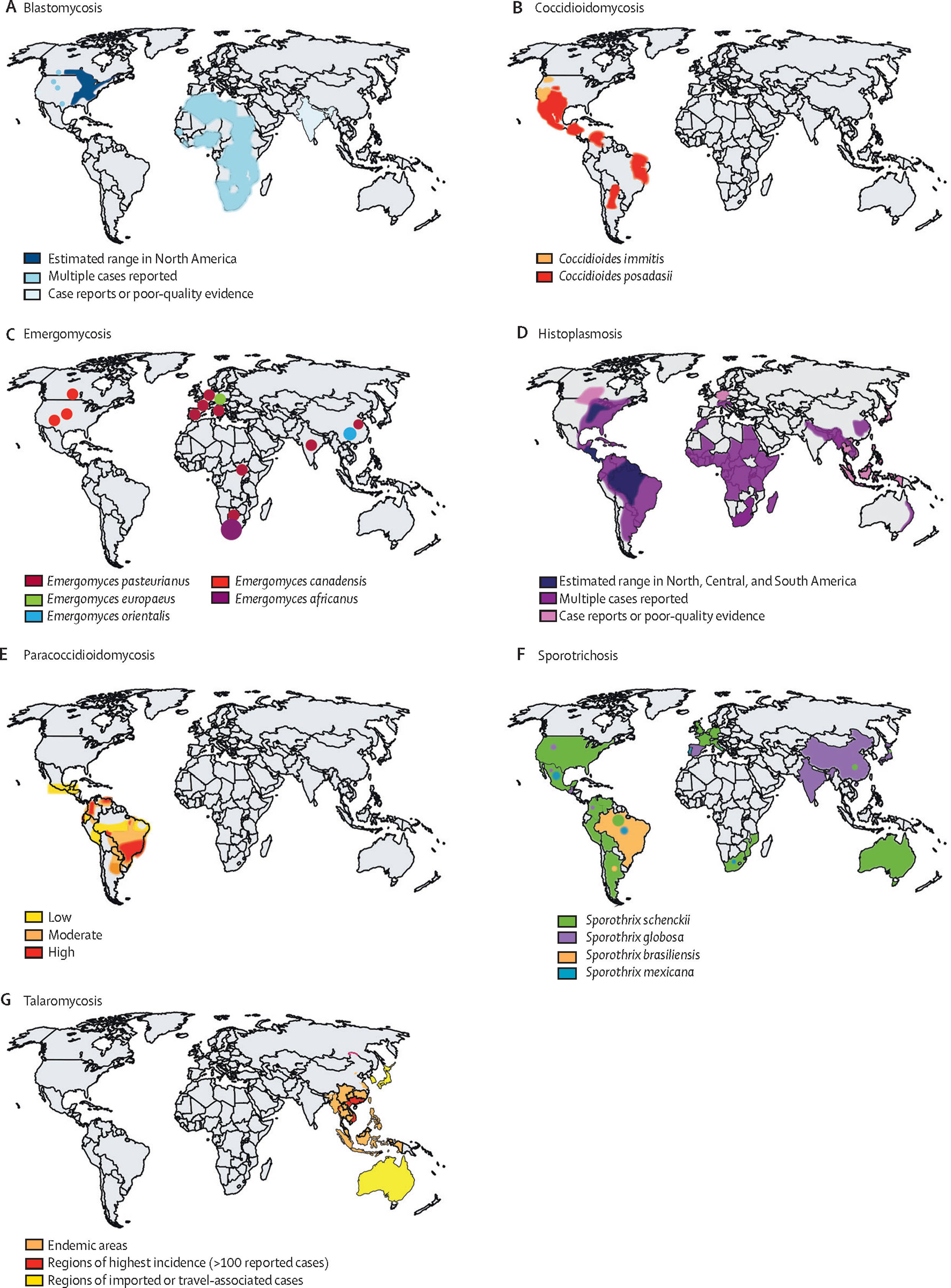 Endemic Cases In The World, fungal infections, color-coded regions, 2K Phone Wallpaper