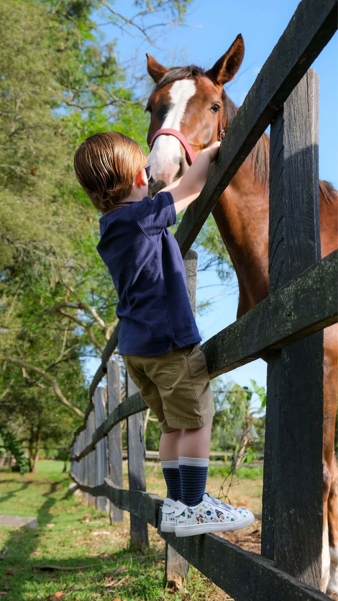 young boy, brown horse, blue shirt, Full HD Phone Wallpaper