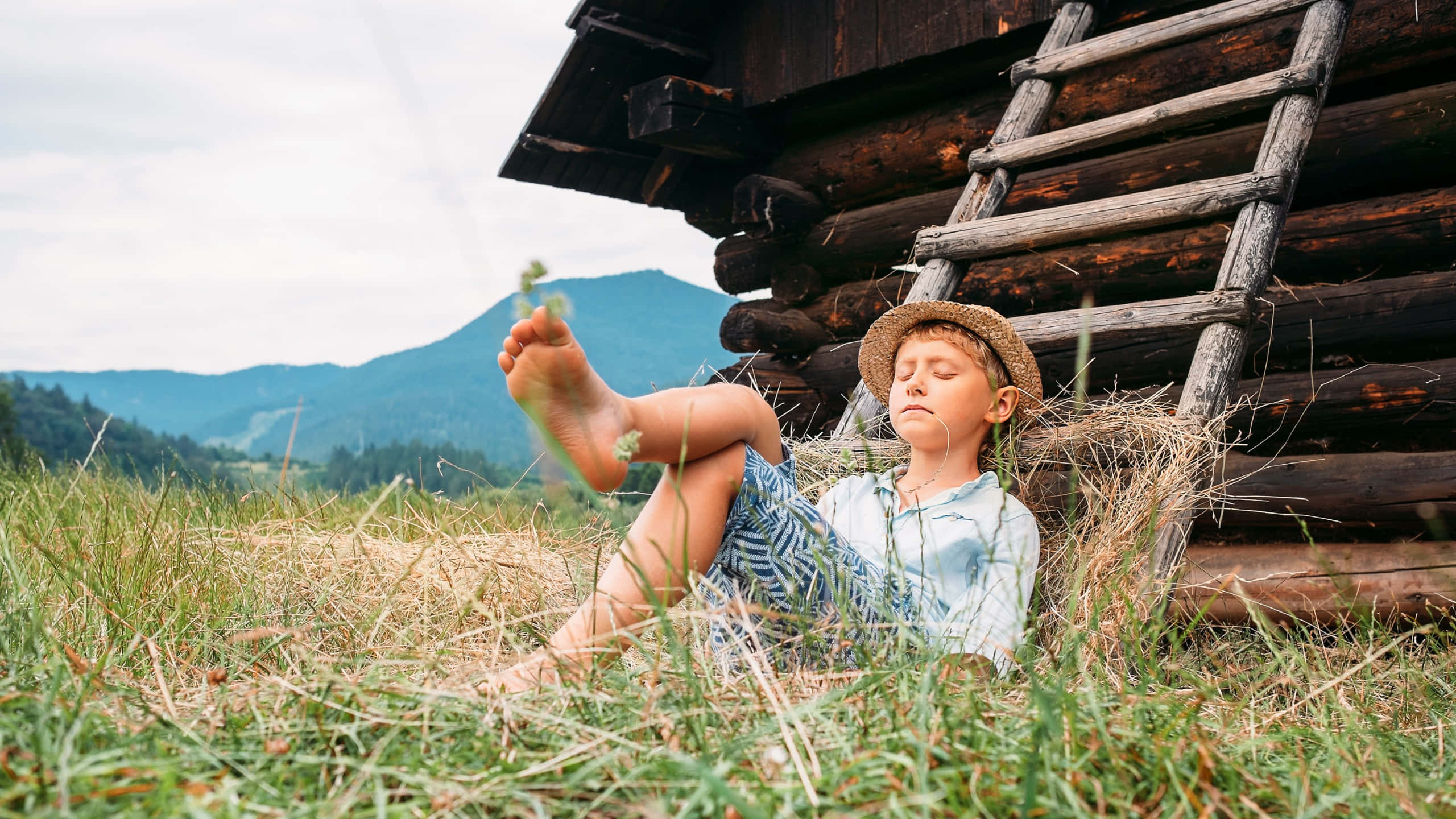 straw hat, grass, wooden cabin, 2K Desktop Wallpaper