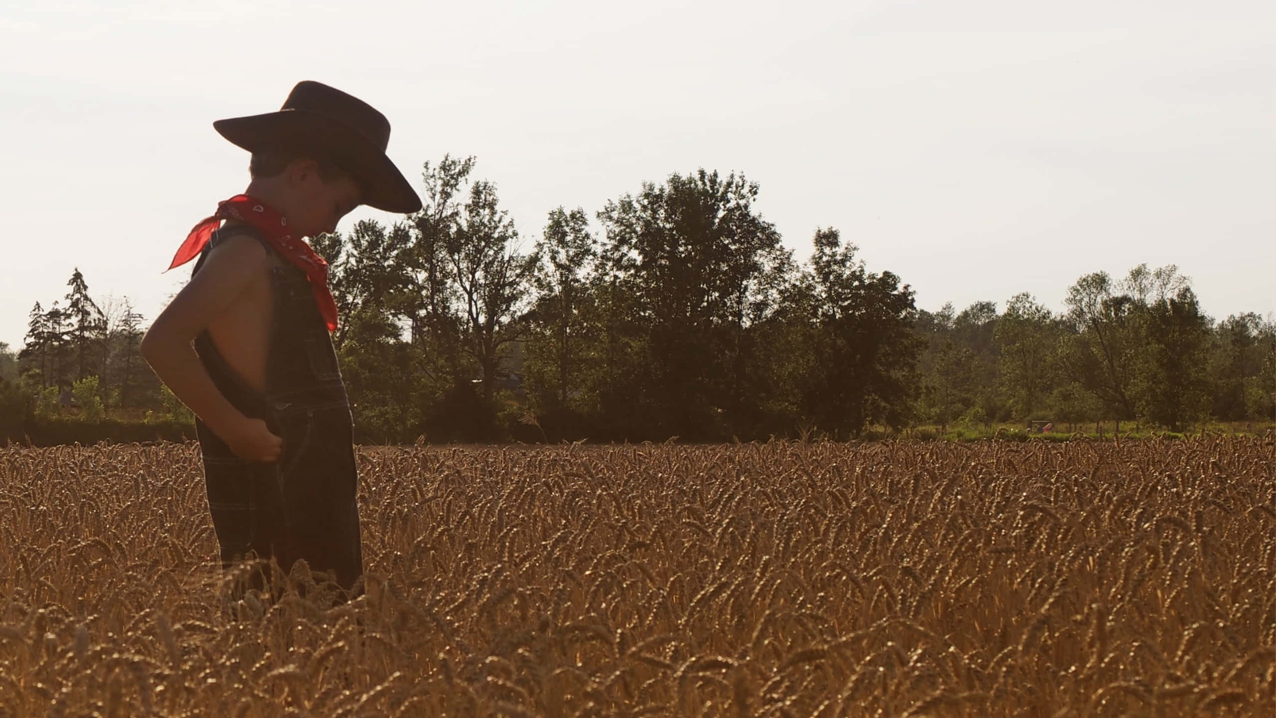 Country Boy, cowboy hat, red bandana, 2K Desktop Wallpaper