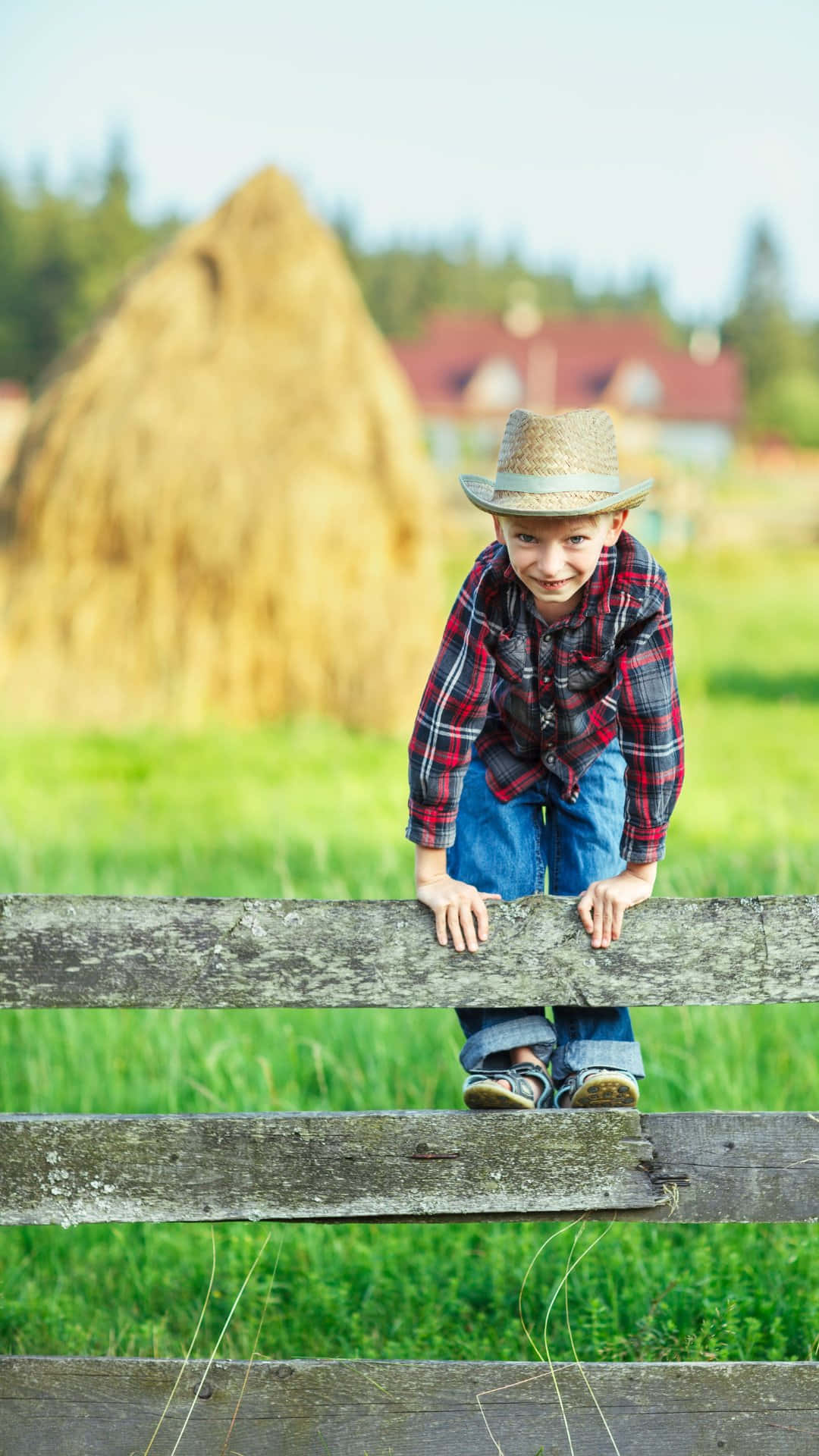 rustic farm boy, straw hat, plaid shirt, Full HD Phone Wallpaper