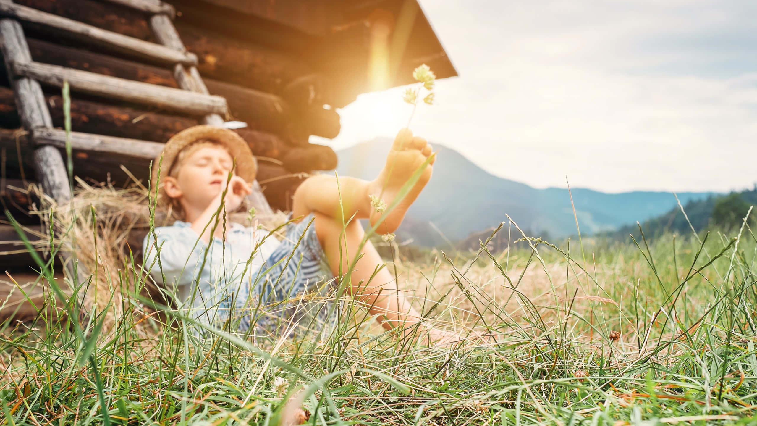 straw hat, tall grass, wooden cabin, 2K Desktop Wallpaper
